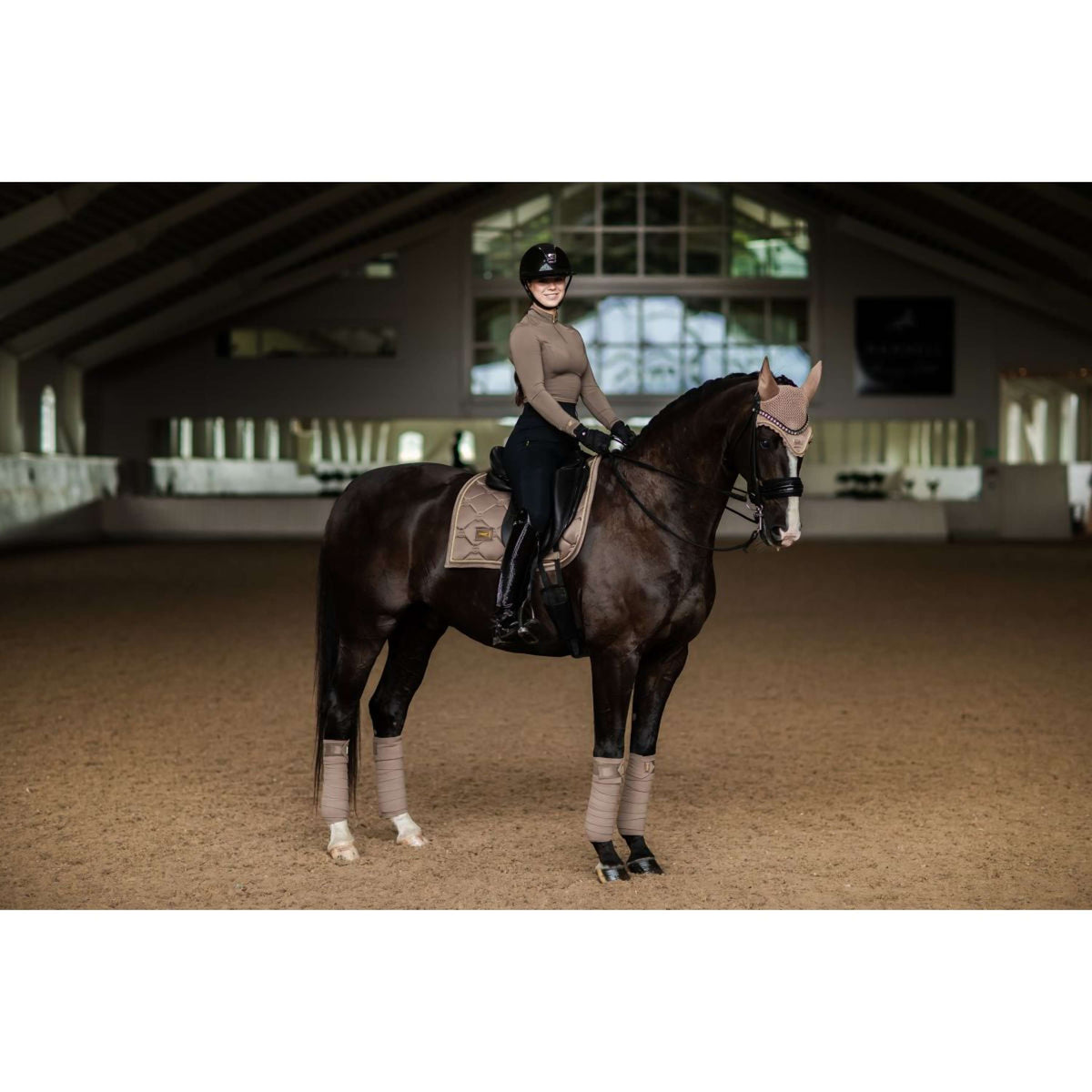 Equestrian Stockholm Mantilla Doma clásica Champan