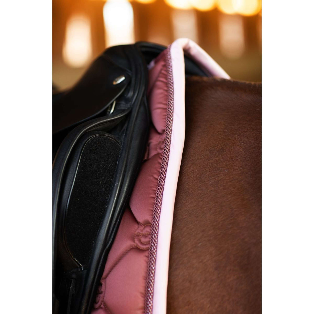Equestrian Stockholm Mantilla Doma clásica Amber Rose