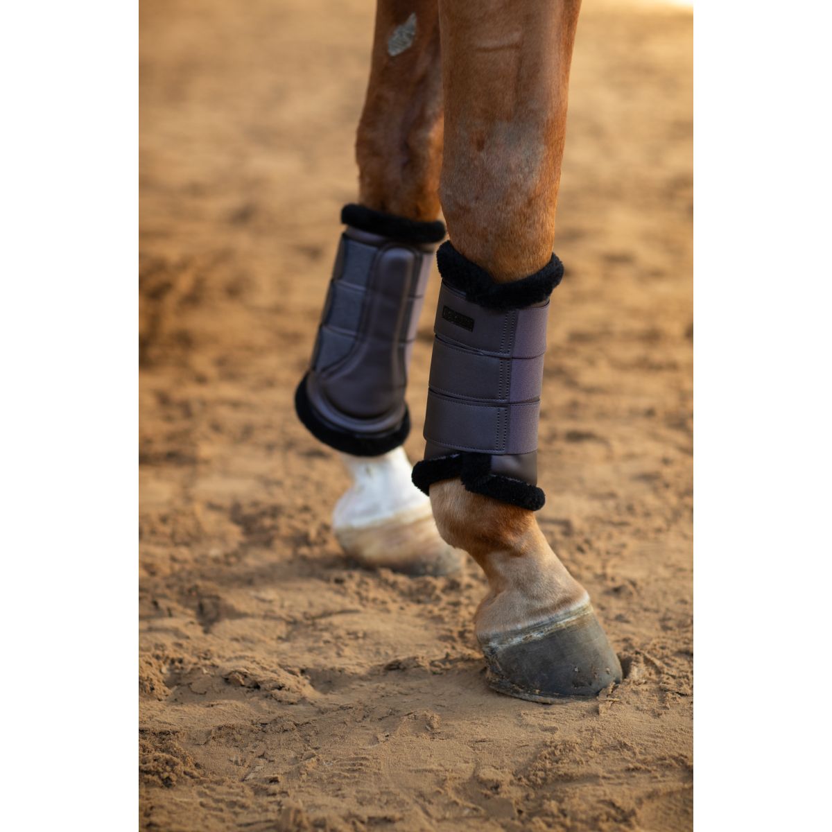Equestrian Stockholm Protectores de piernas Dark Violet