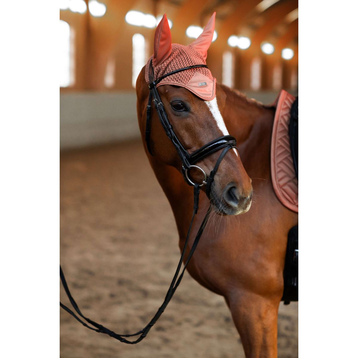 Equestrian Stockholm Bonete para Orejas Modern Coral