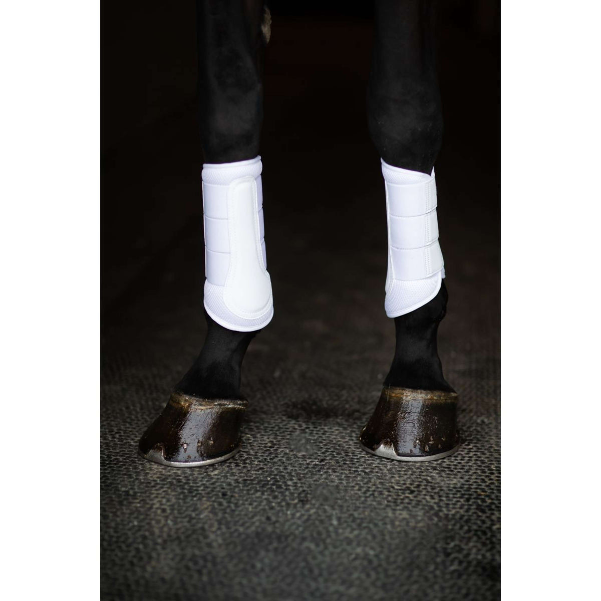 Equestrian Stockholm Protectores de piernas Classic Mesh White Silver