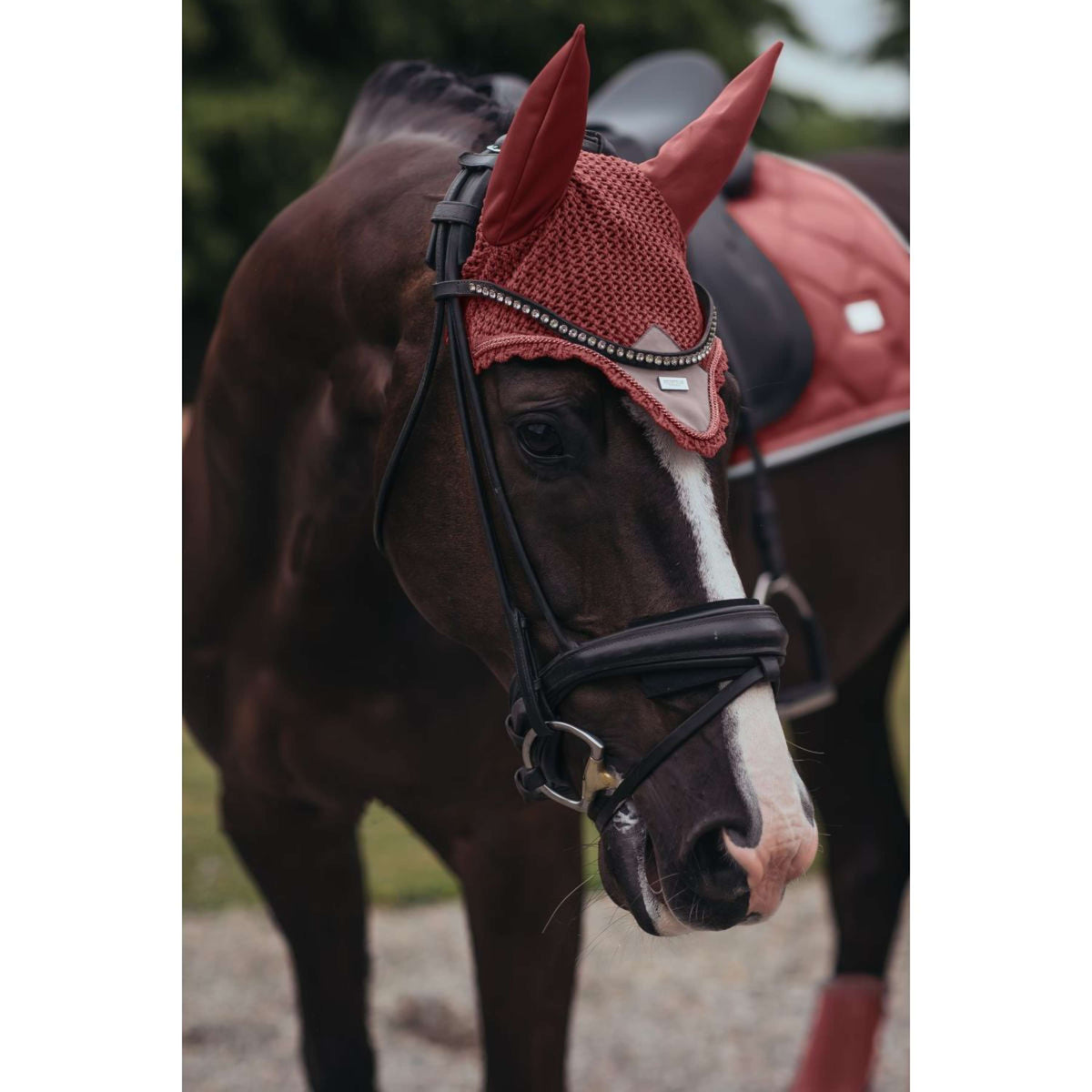Equestrian Stockholm Bonete para Orejas Amber Rose