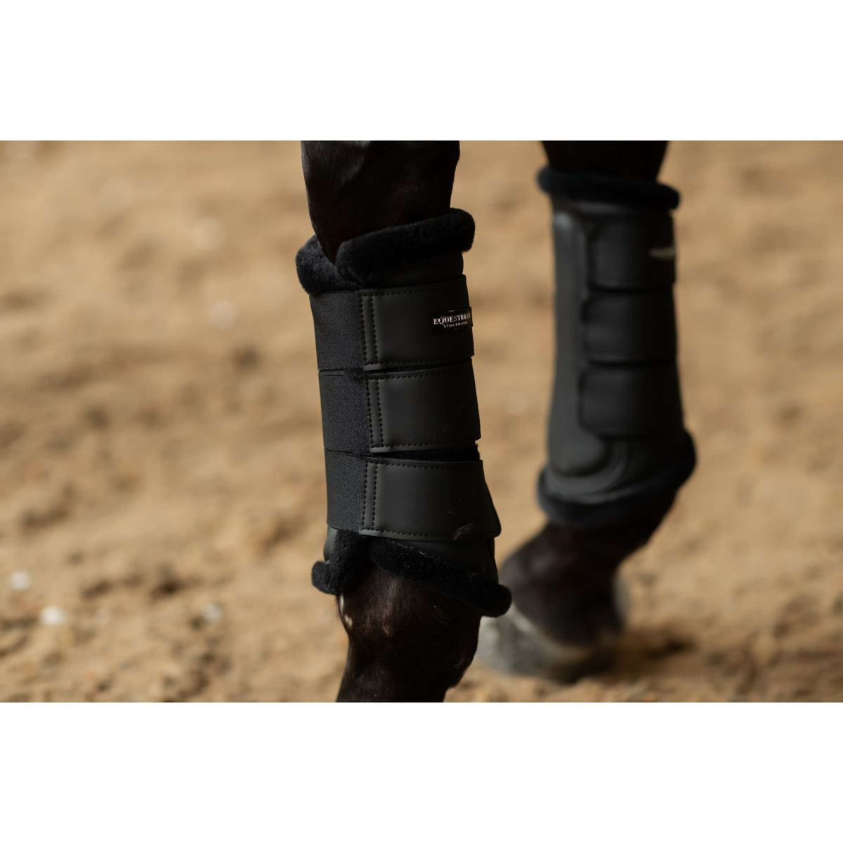 Equestrian Stockholm Protectores de piernas Negro