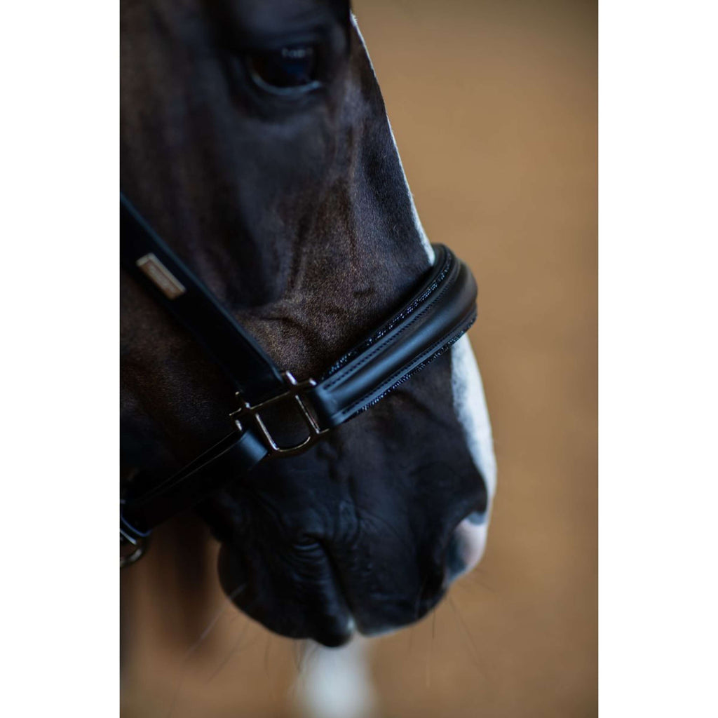 Equestrian Stockholm Cabestro Glimmer Anatomic Leather Negro