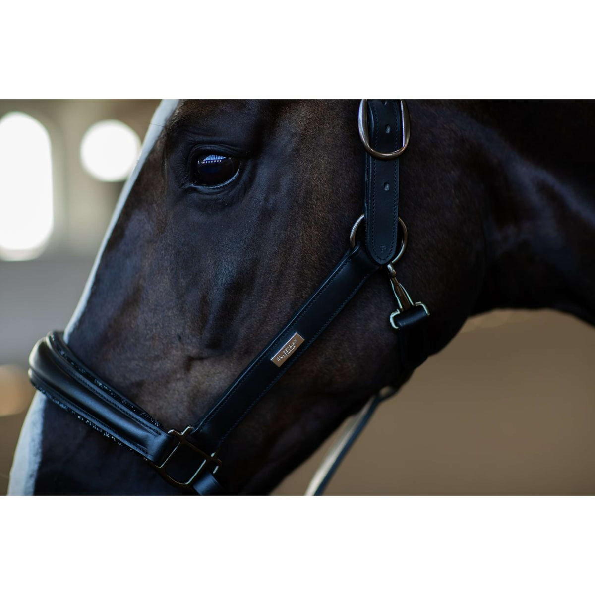 Equestrian Stockholm Cabezada Glimmer Anatomic Leather Negro