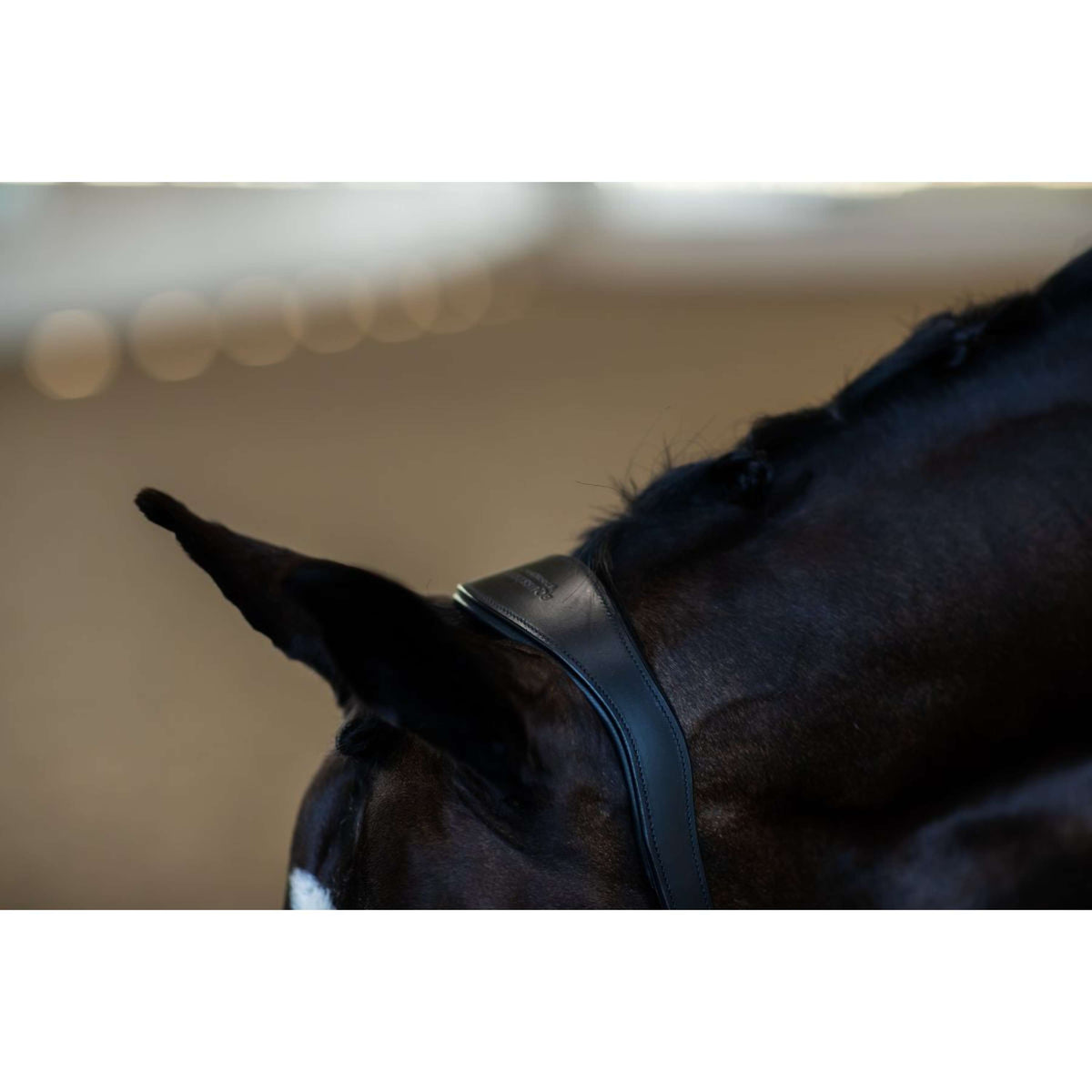 Equestrian Stockholm Cabezada Glimmer Anatomic Leather Negro