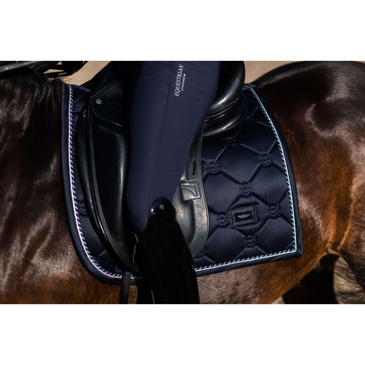 Equestrian Stockholm Mantilla Doma clásica Edicion Negra
