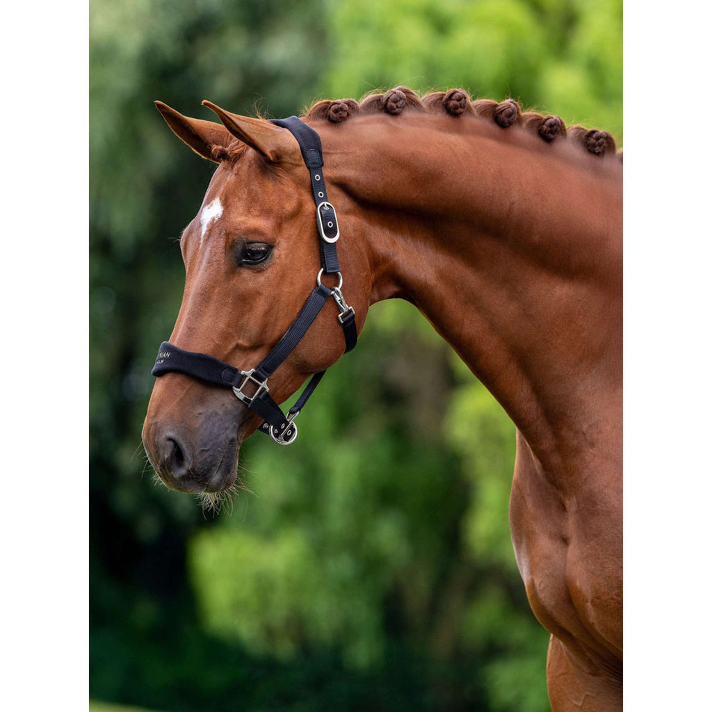 Equestrian Stockholm Cabestro Anatomic Fleece Negro