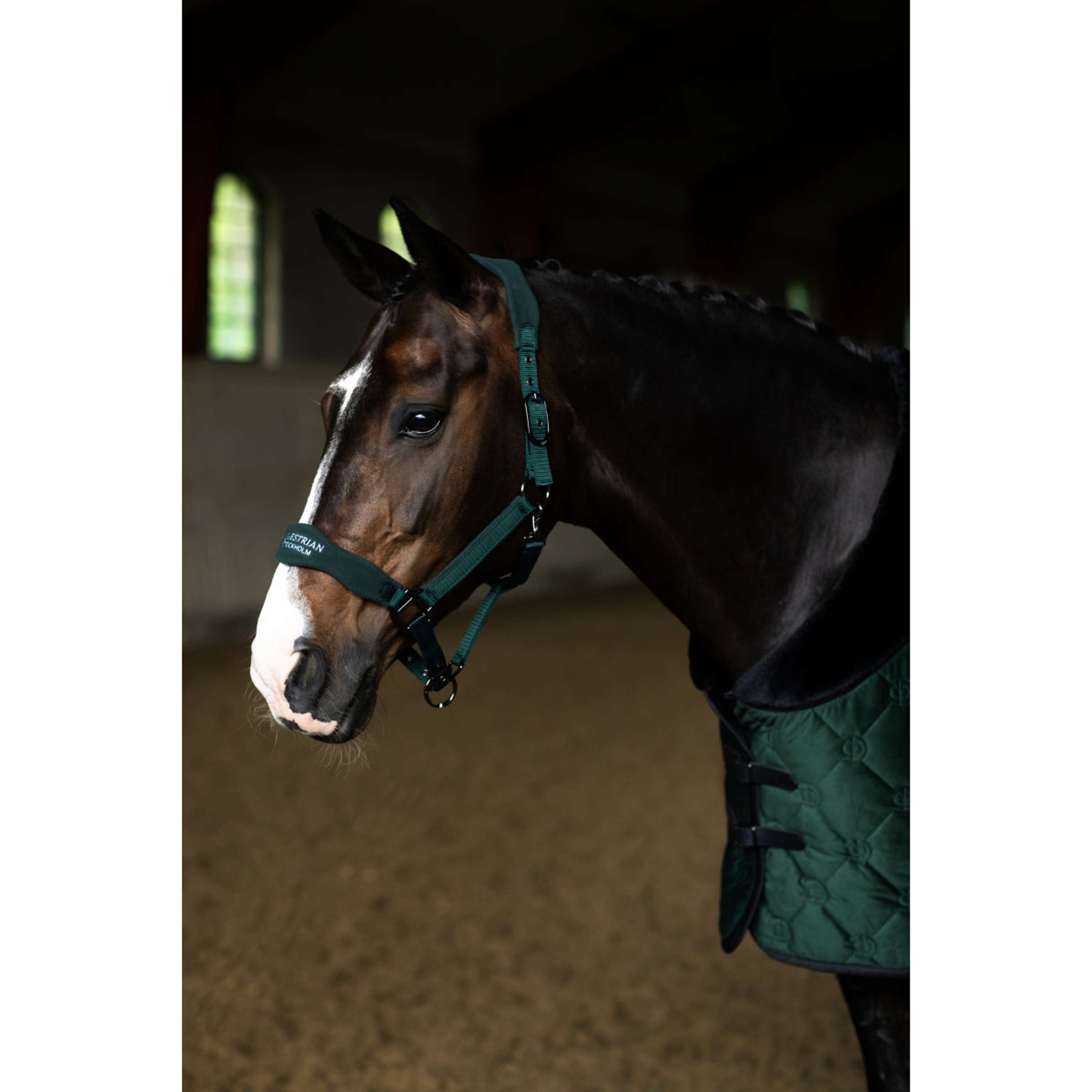 Equestrian Stockholm Cabestro Anatomic Fleece Sycamore Green