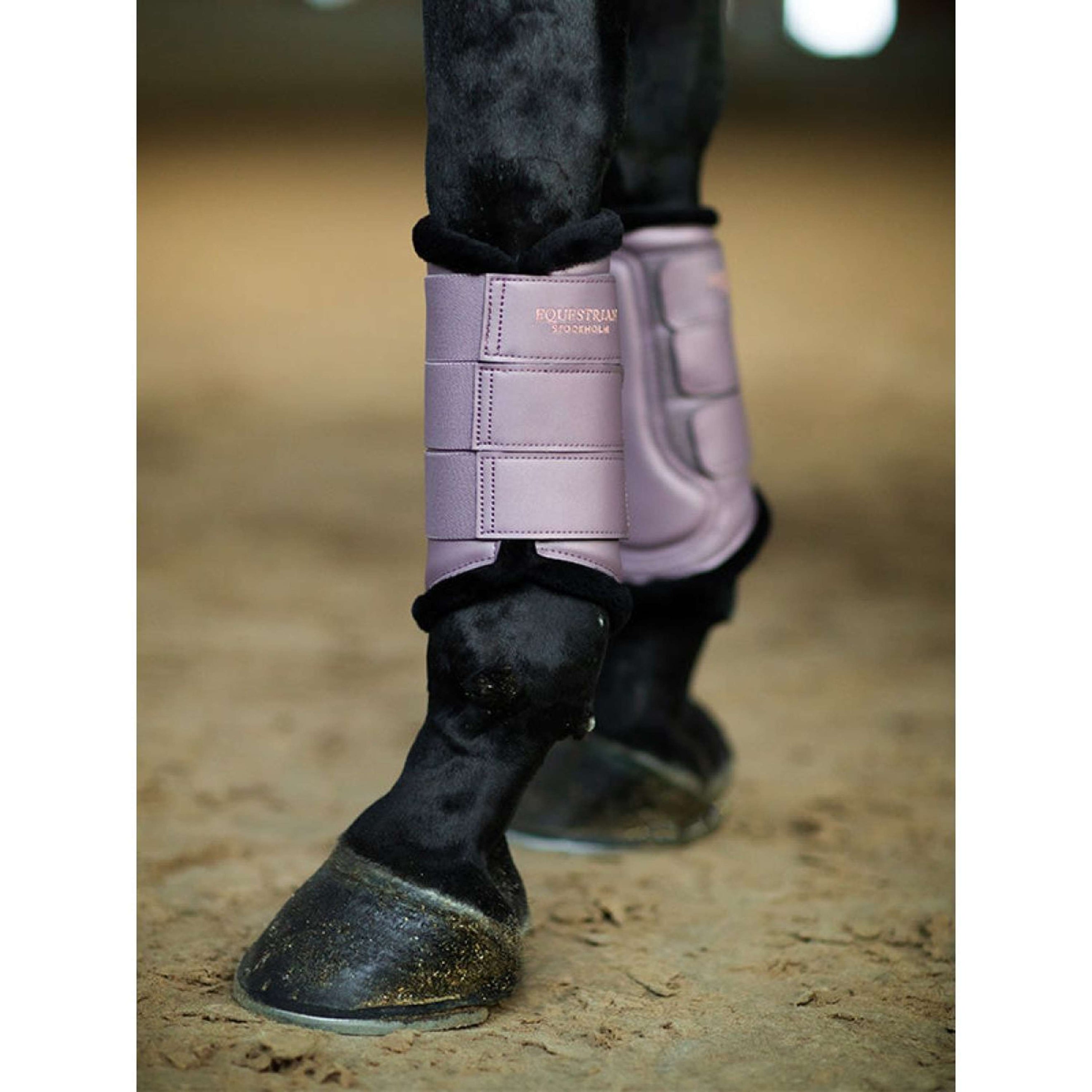 Equestrian Stockholm Protectores de piernas Anemone