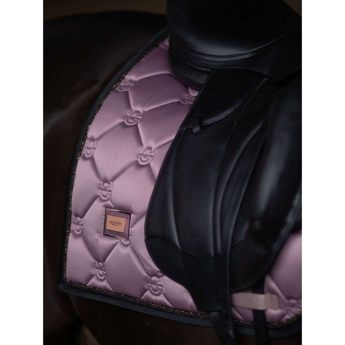 Equestrian Stockholm Mantilla Doma clásica Anemone