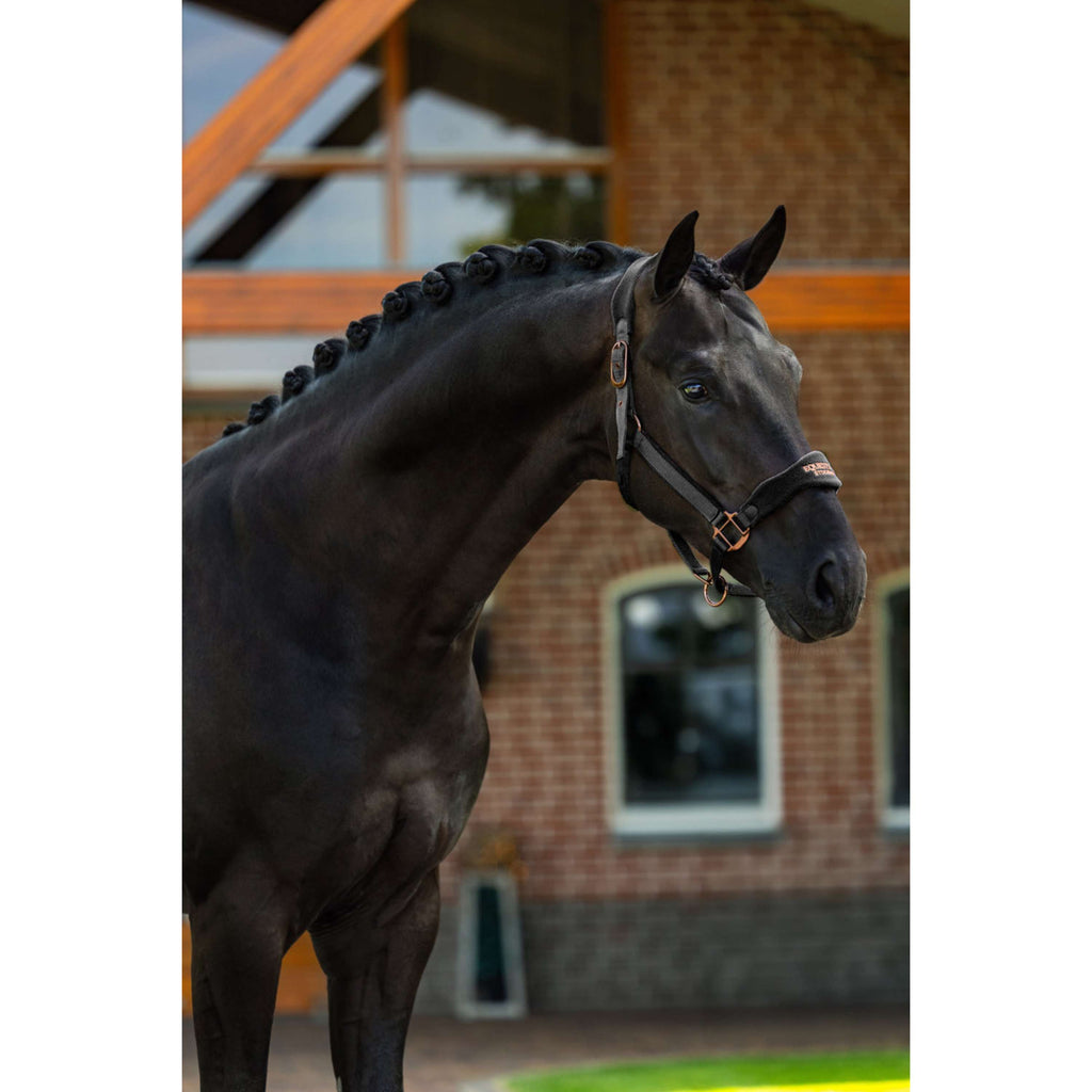 Equestrian Stockholm Cabestro Anatomic Fleece Negro/Blush