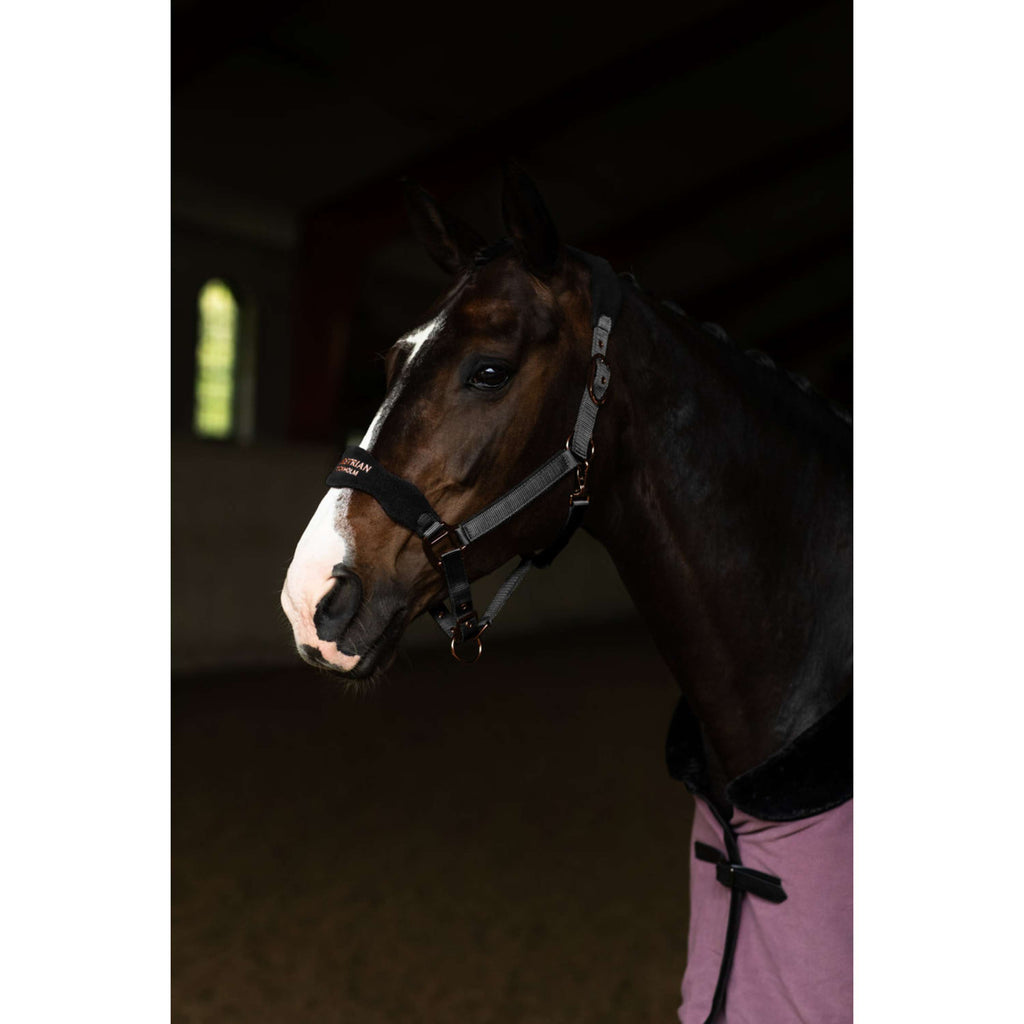 Equestrian Stockholm Cabestro Anatomic Fleece Negro/Blush