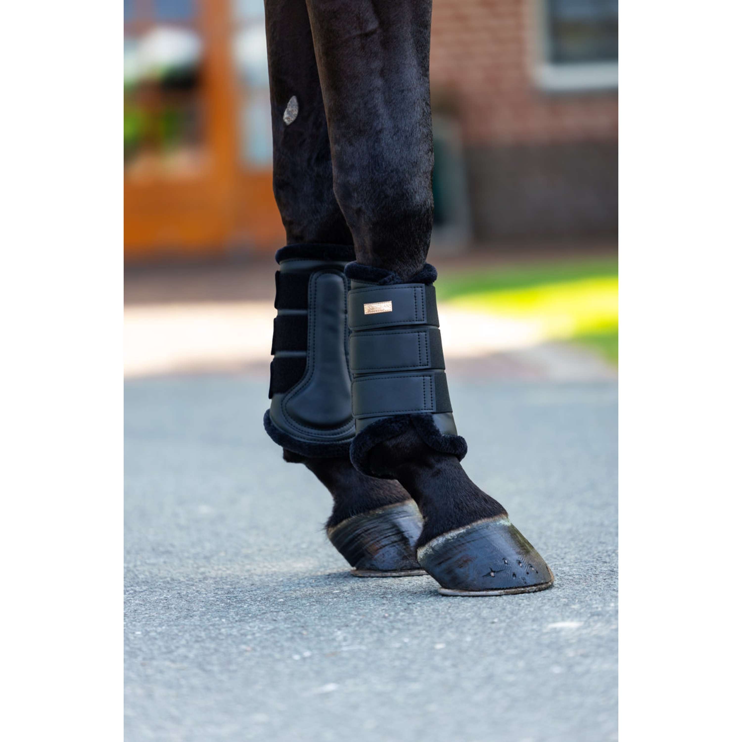 Equestrian Stockholm Protectores de piernas Negro/Blush