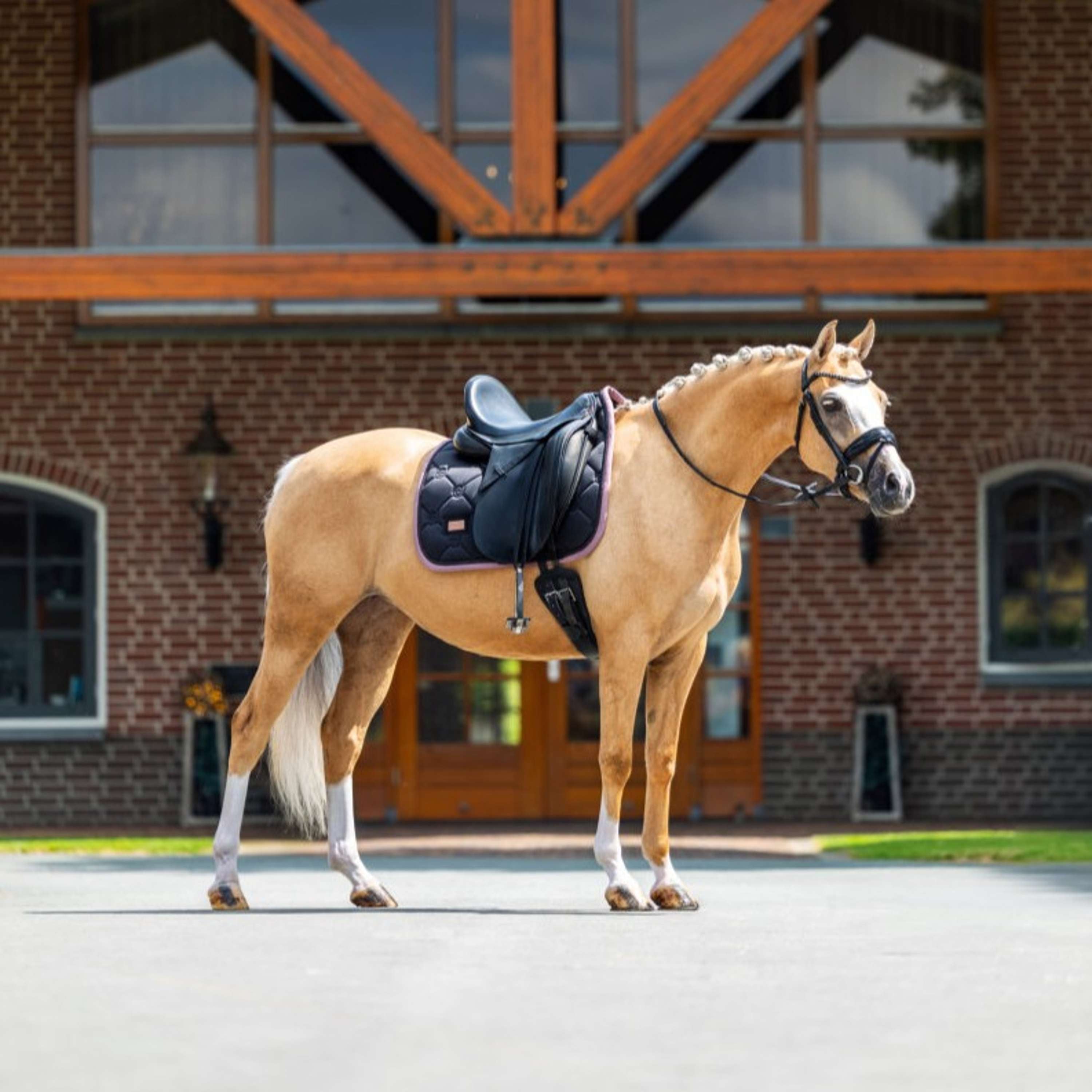 Equestrian Stockholm Mantilla Doma Clásica Negro/Blush