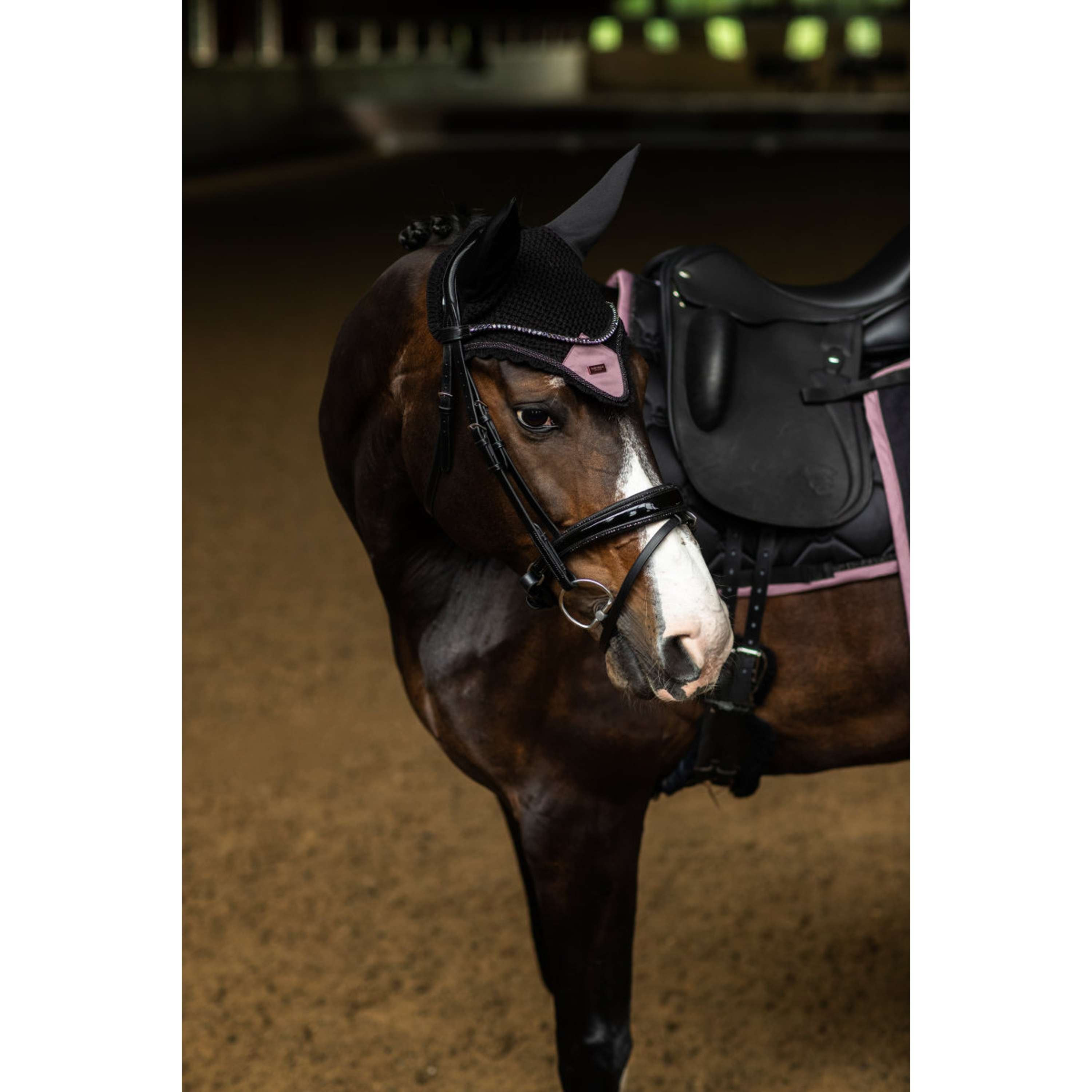 Equestrian Stockholm Bonete para Orejas Negro/Blush