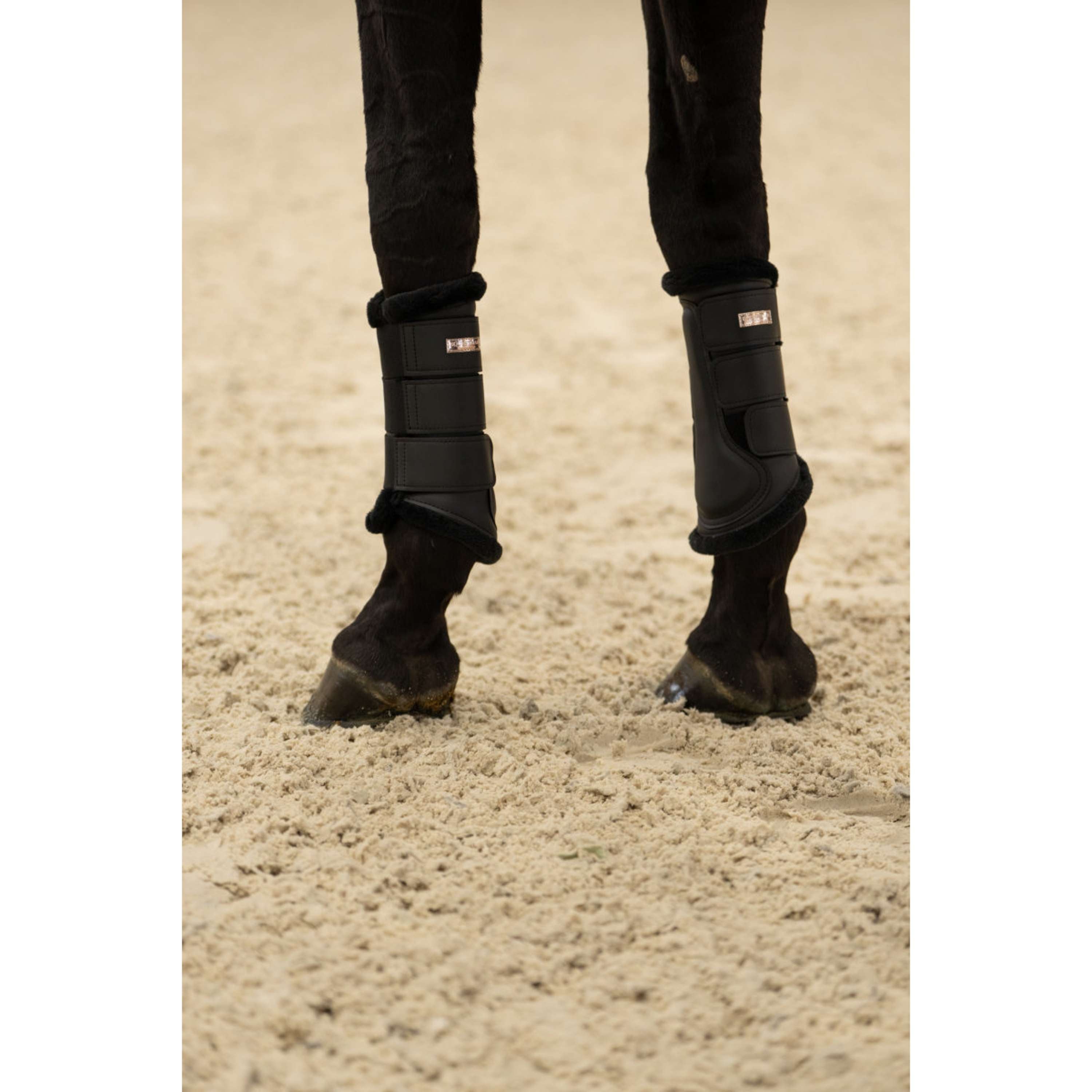 Equestrian Stockholm Protectores de piernas Negro/Blush