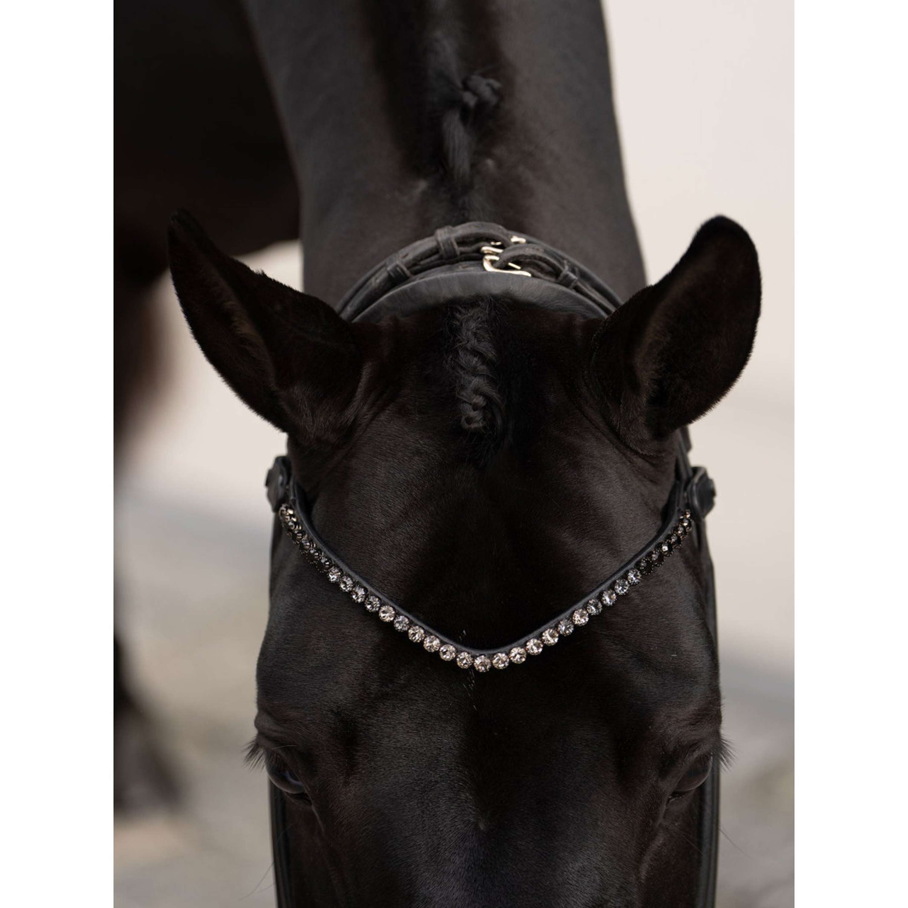 Equestrian Stockholm Frontal Faded 8mm Negro