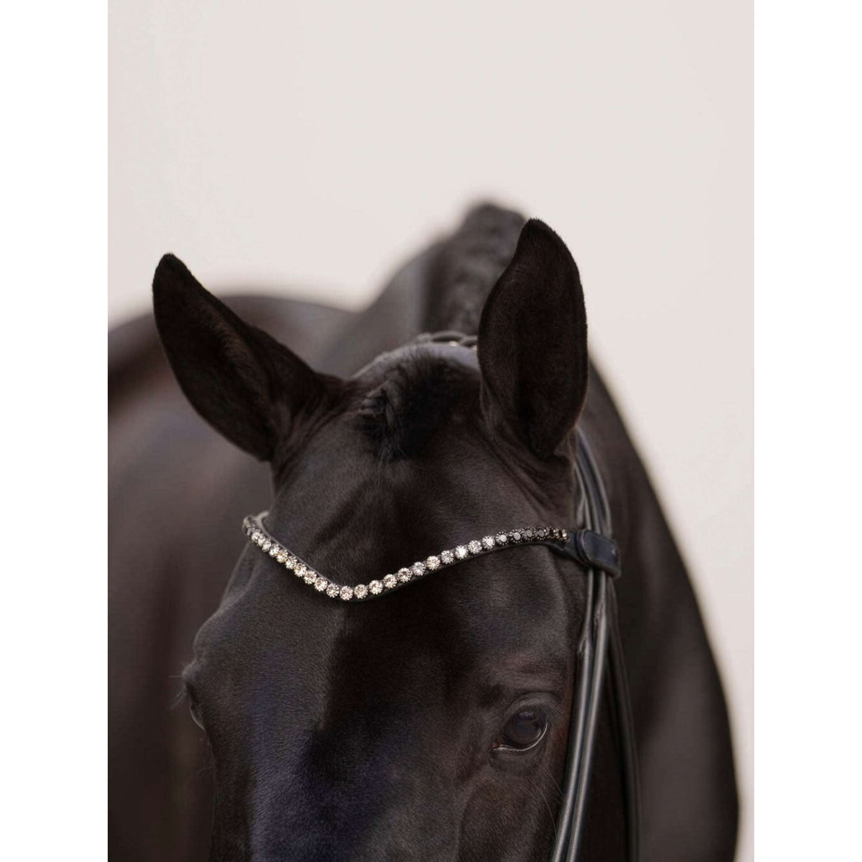 Equestrian Stockholm Frontal Faded 8mm Negro