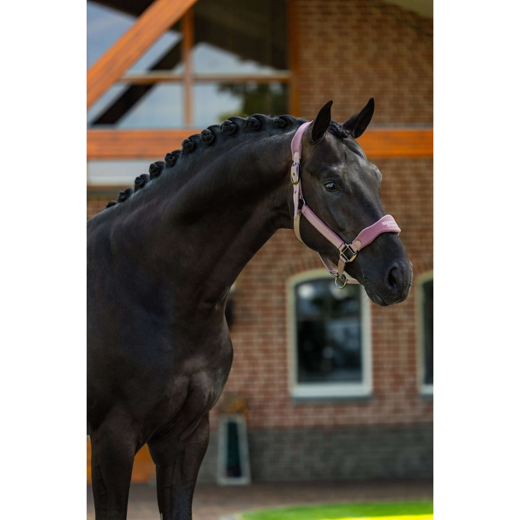 Equestrian Stockholm Cabestro Anatomic Fleece Blush