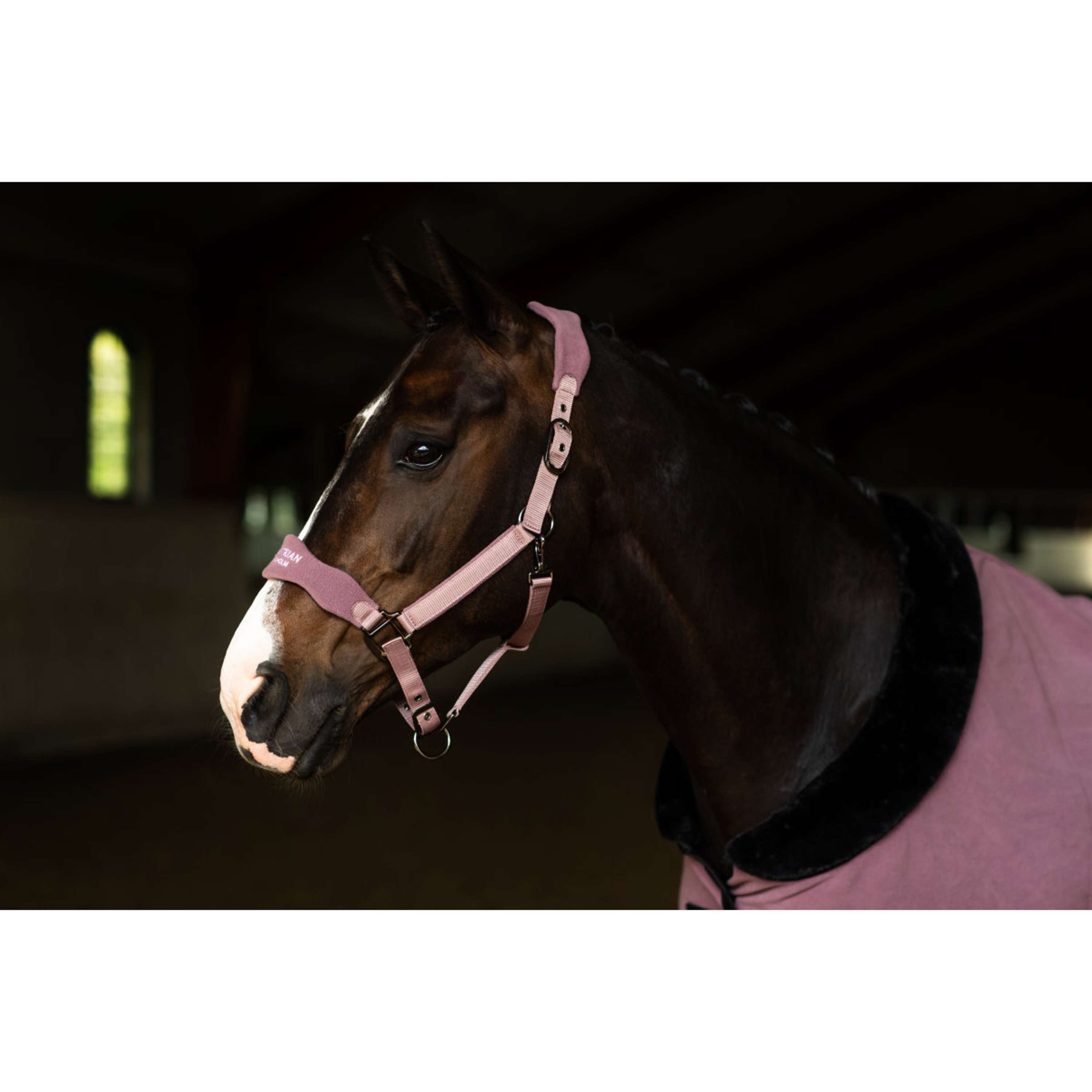Equestrian Stockholm Cabestro Anatomic Fleece Blush