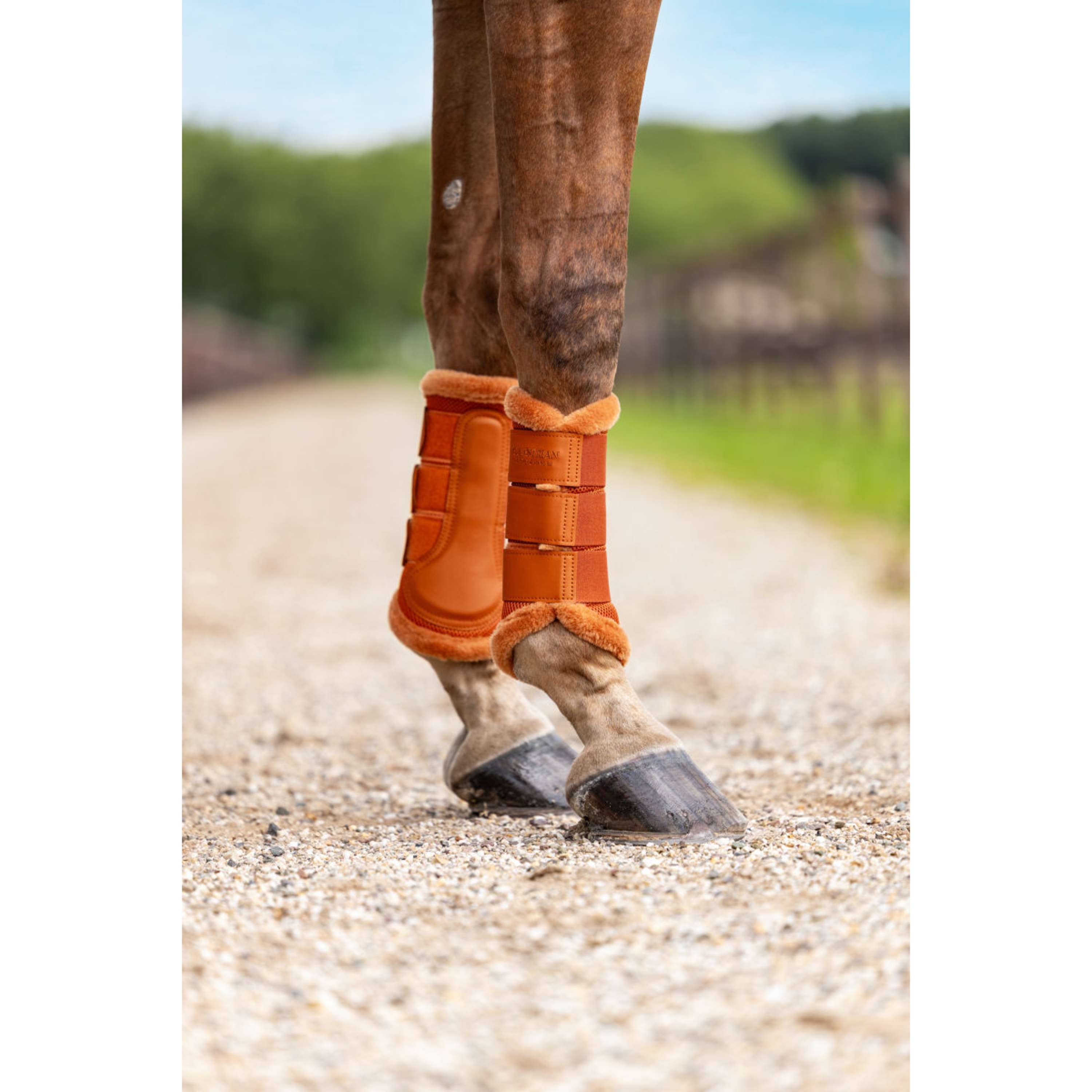 Equestrian Stockholm Protectores de piernas Fur Mesh Chestnut