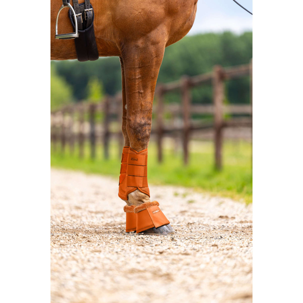 Equestrian Stockholm Botas para Caballos Chestnut