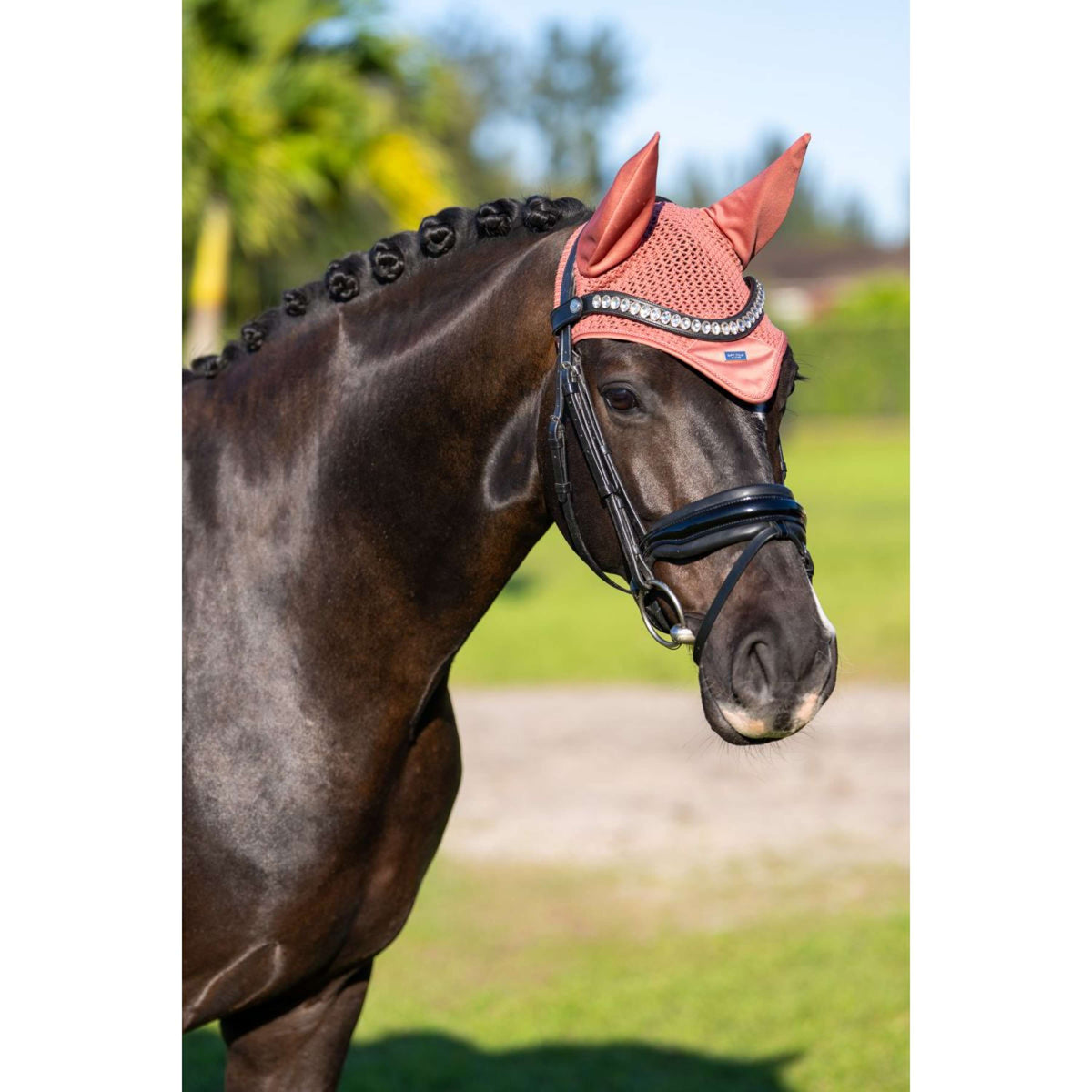 Equestrian Stockholm Bonete para Orejas Modern Coral