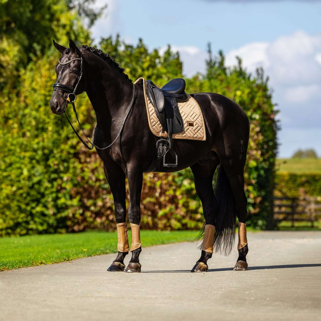 Equestrian Stockholm Protectores de piernas Classic Mesh Midsummer Glow