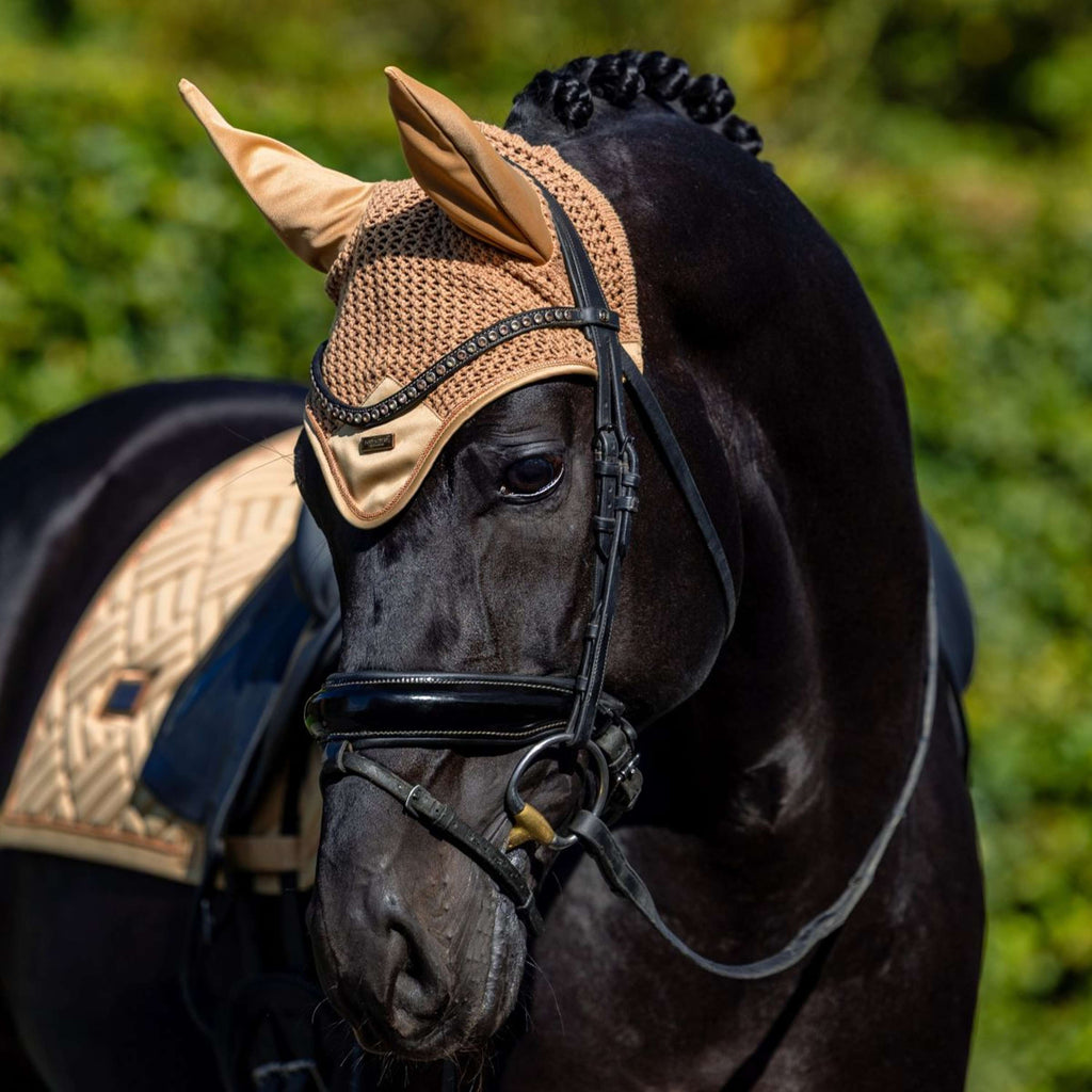 Equestrian Stockholm Mantilla Modern Doma clásica Midsummer Glow