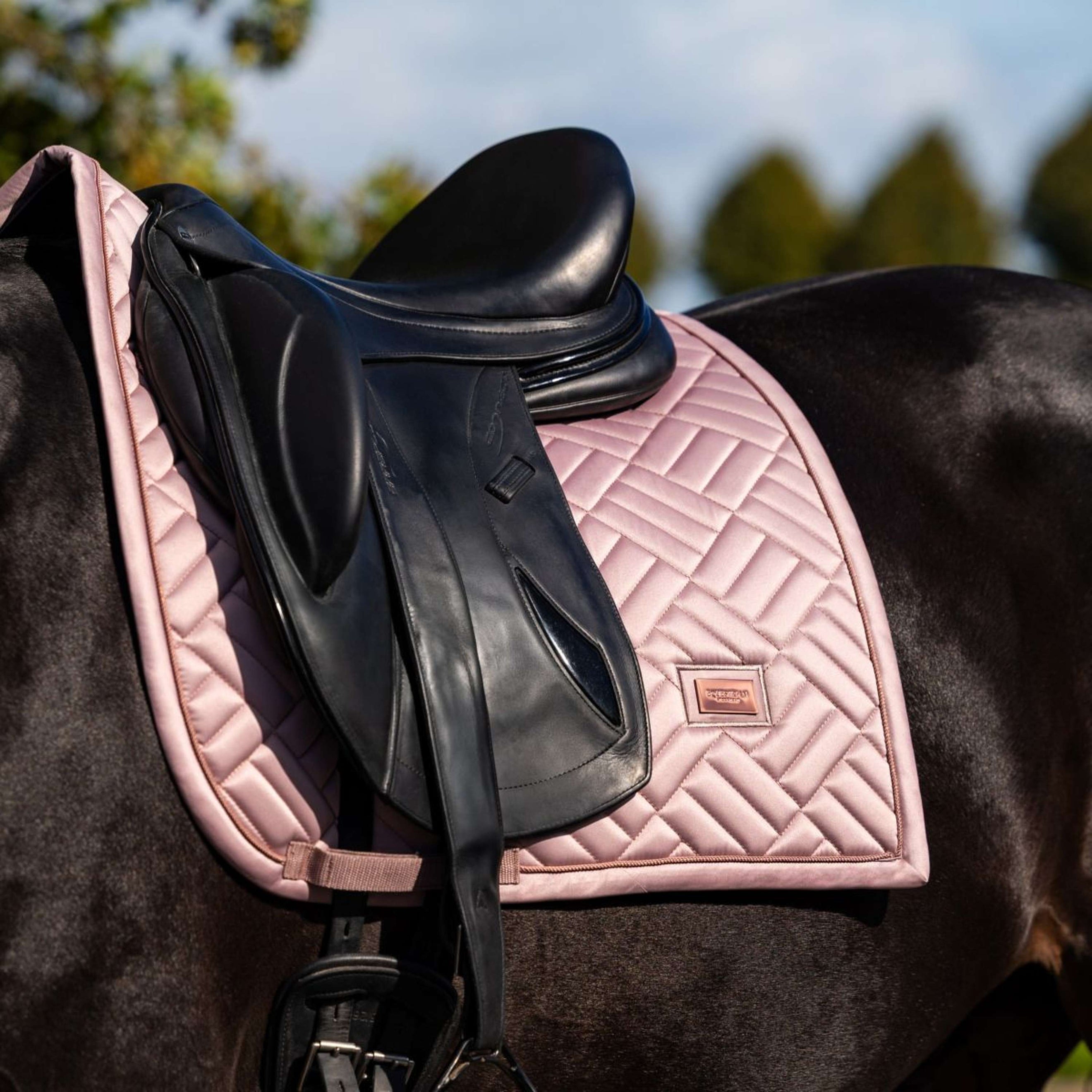 Equestrian Stockholm Mantilla Modern Doma clásica Midsummer Blush