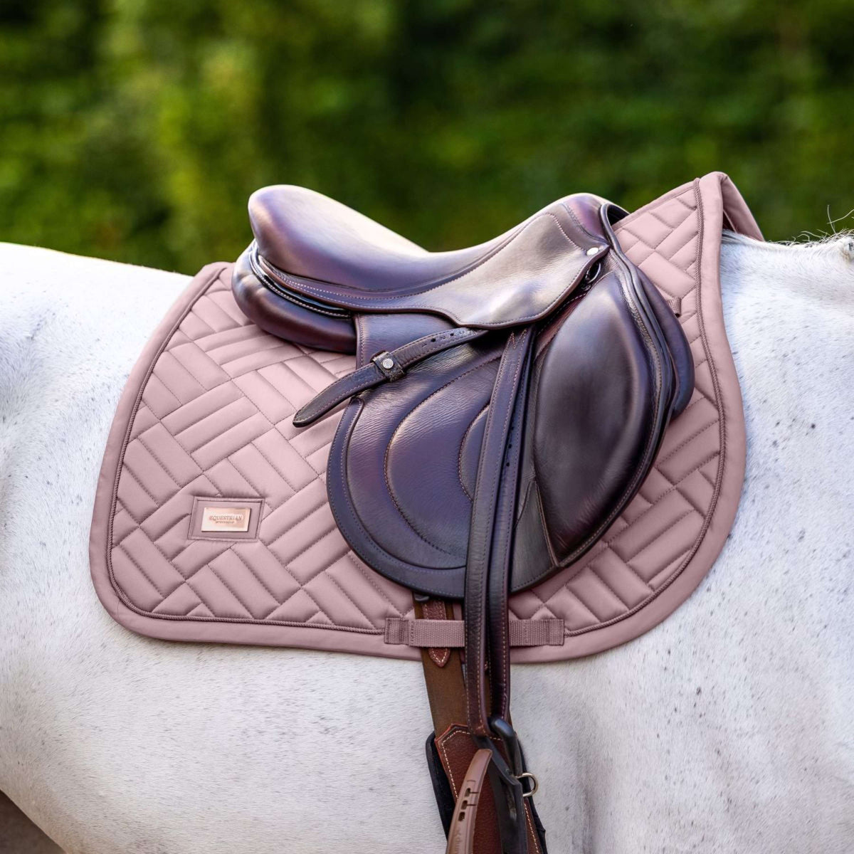 Equestrian Stockholm Mantilla Modern saltando Midsummer Blush