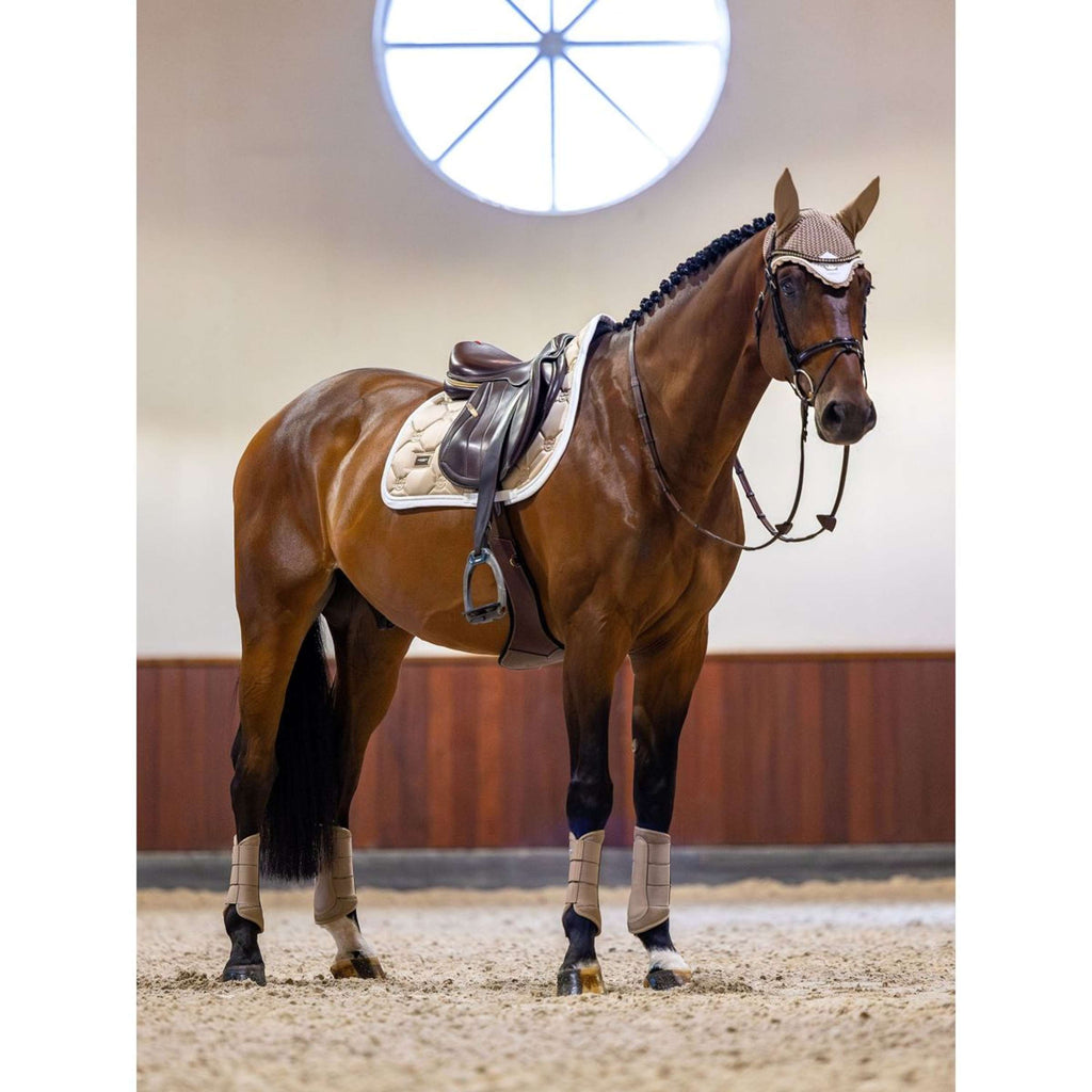 Equestrian Stockholm Mantilla saltando Sand