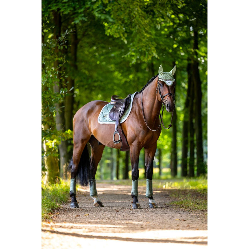 Equestrian Stockholm Bonete para Orejas Pistachio White