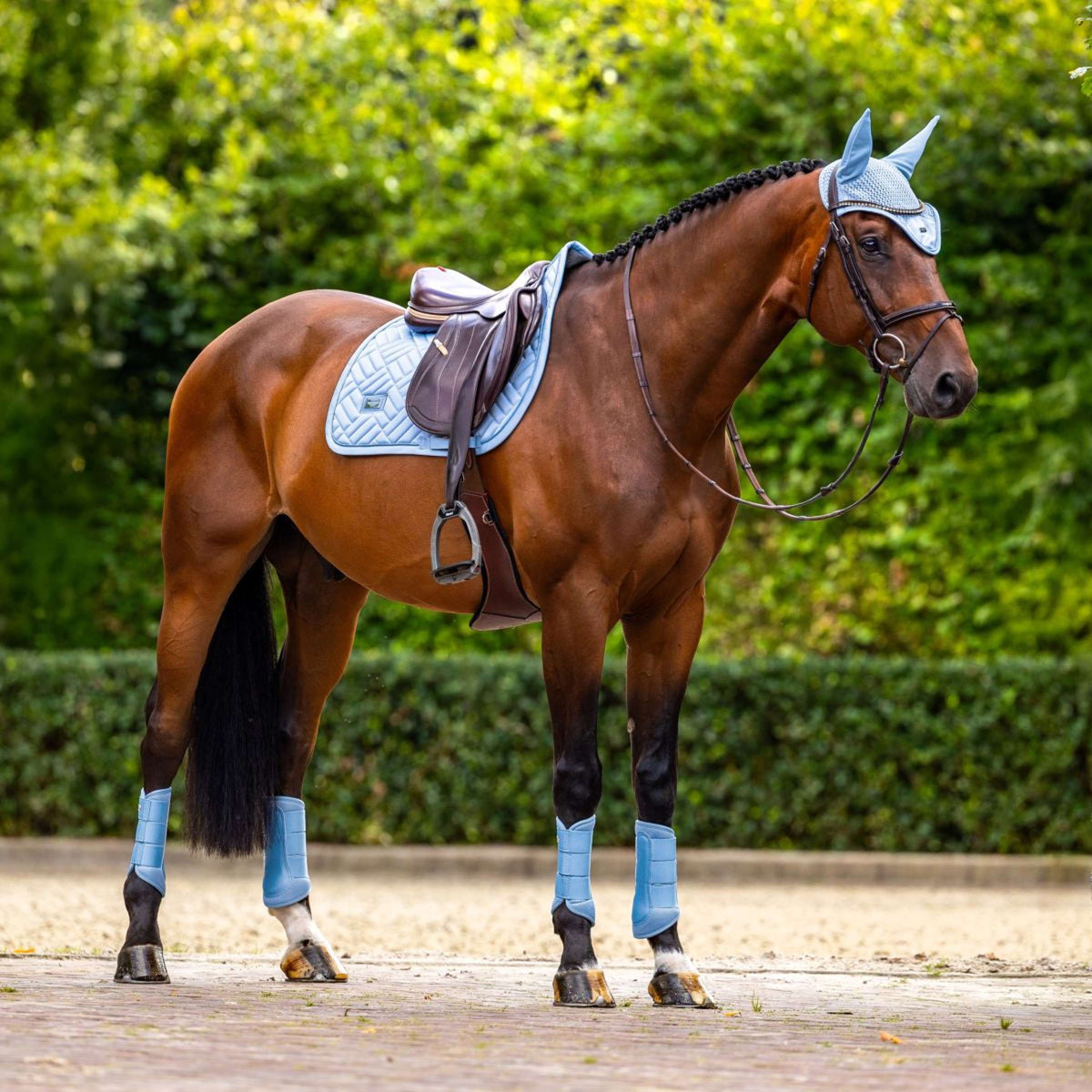 Equestrian Stockholm Bonete para Orejas Modern Midsummer Blue