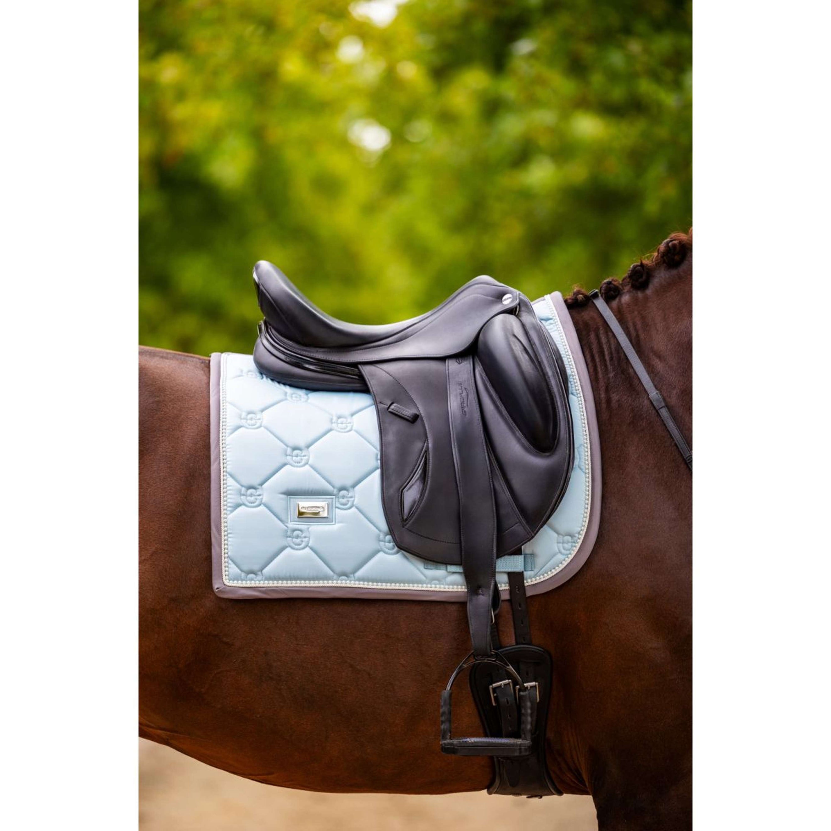 Equestrian Stockholm Mantilla Doma clásica Ice Blue