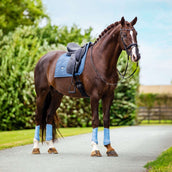 Equestrian Stockholm Mantilla Modern Doma clásica Midsummer Blue
