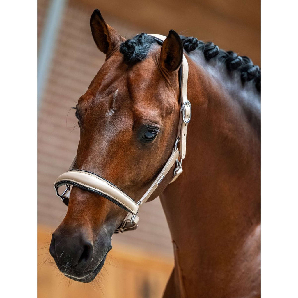 Equestrian Stockholm Cabestro Glimmer Leather Anatomic Sand