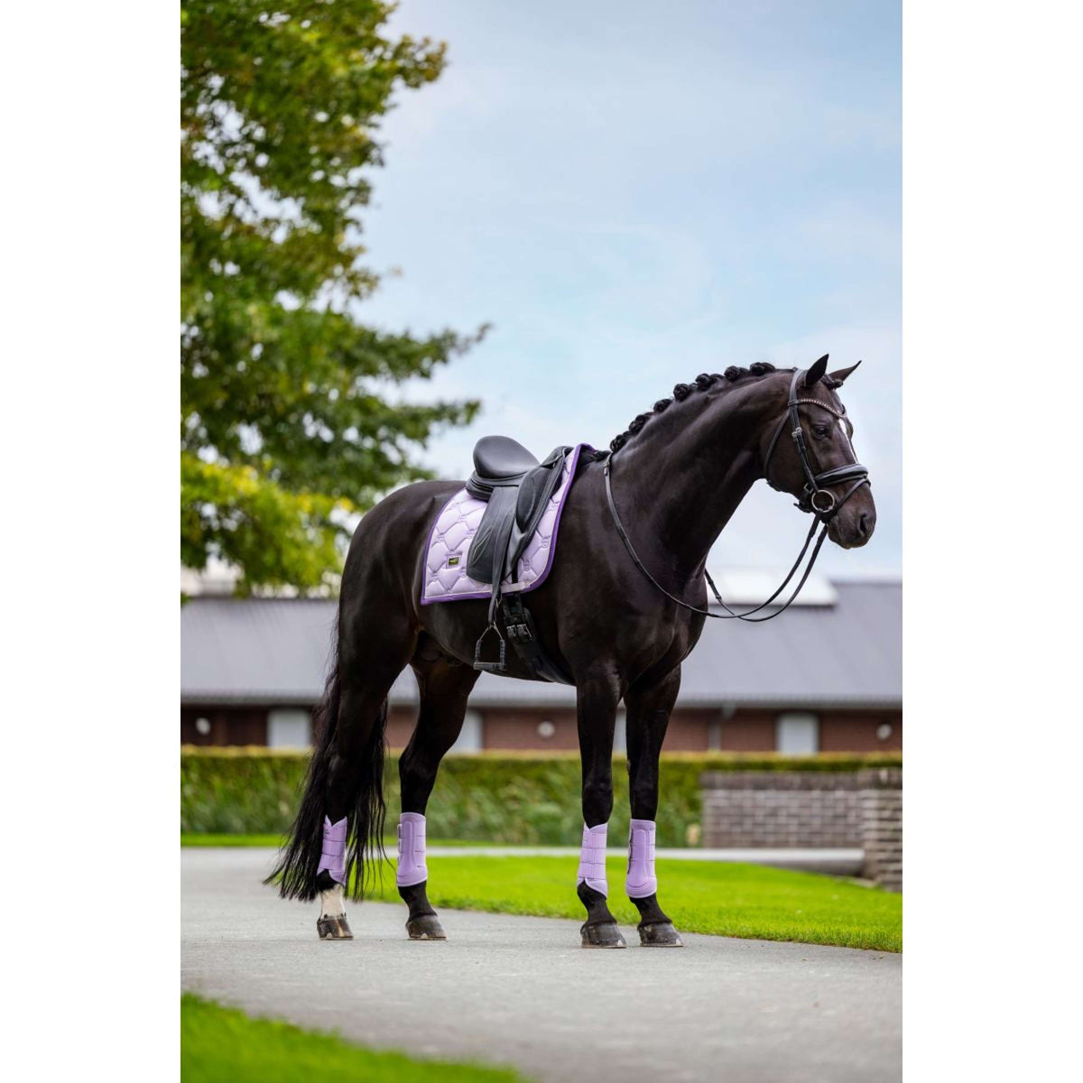 Equestrian Stockholm Protectores de piernas Classic Mesh Lavanda