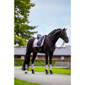 Equestrian Stockholm Protectores de piernas Classic Mesh Lavanda