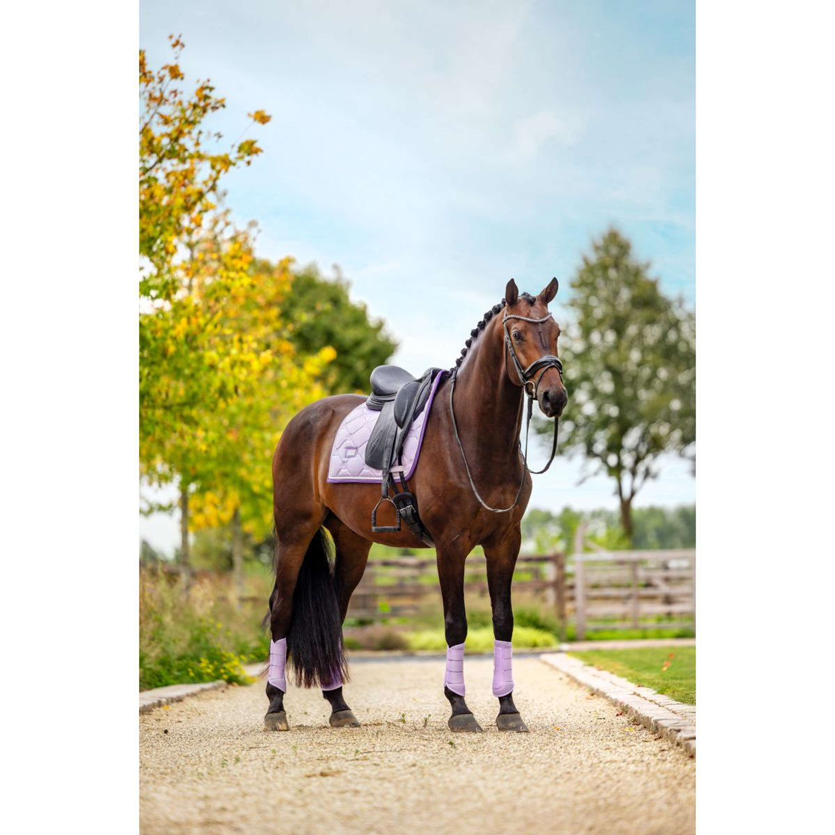 Equestrian Stockholm Protectores de piernas Classic Mesh Lavanda