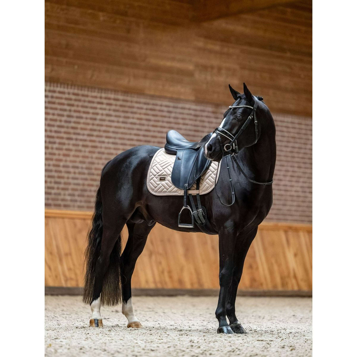 Equestrian Stockholm Mantilla Modern saltando Sand