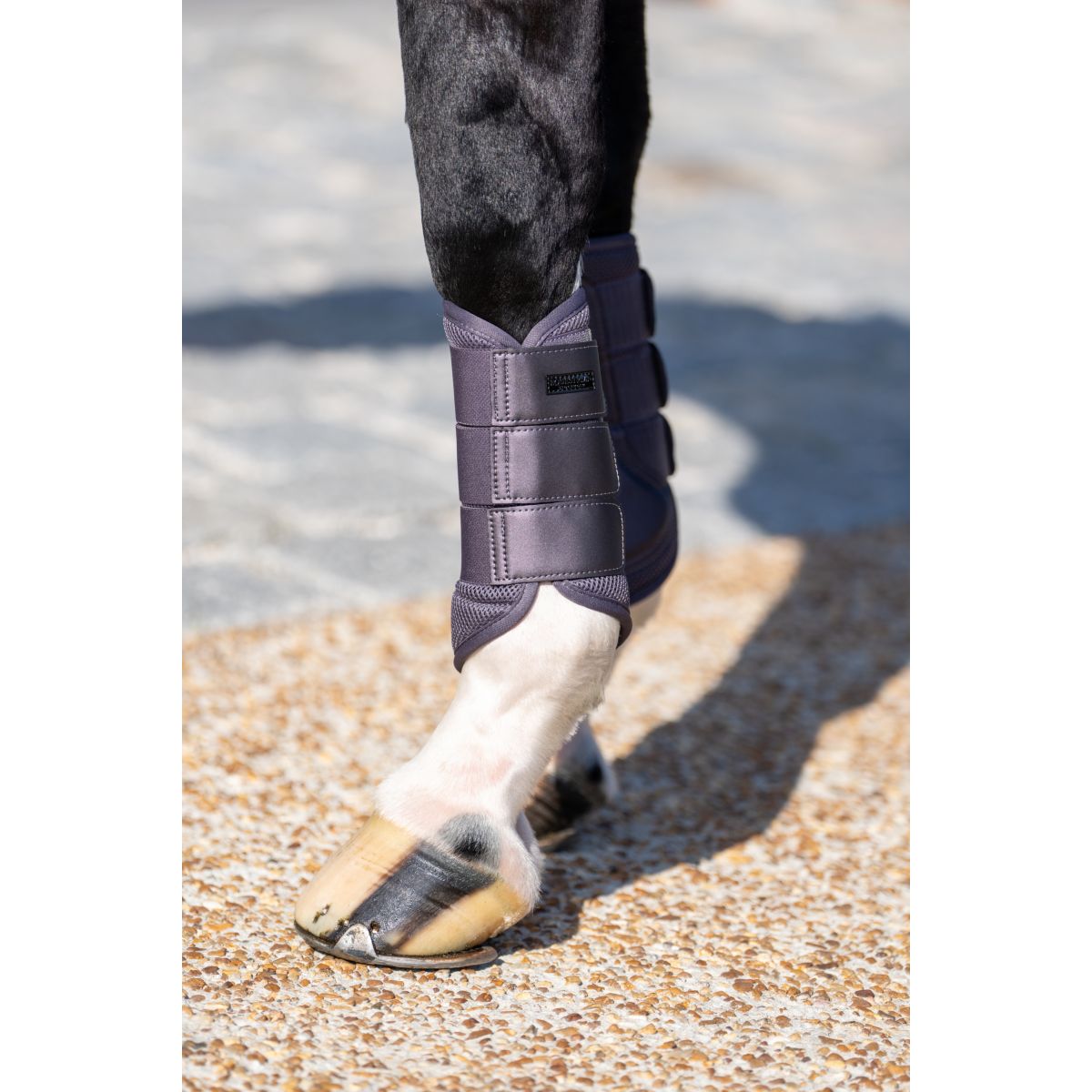 Equestrian Stockholm Protectores de piernas Classic Mesh Dark Violet