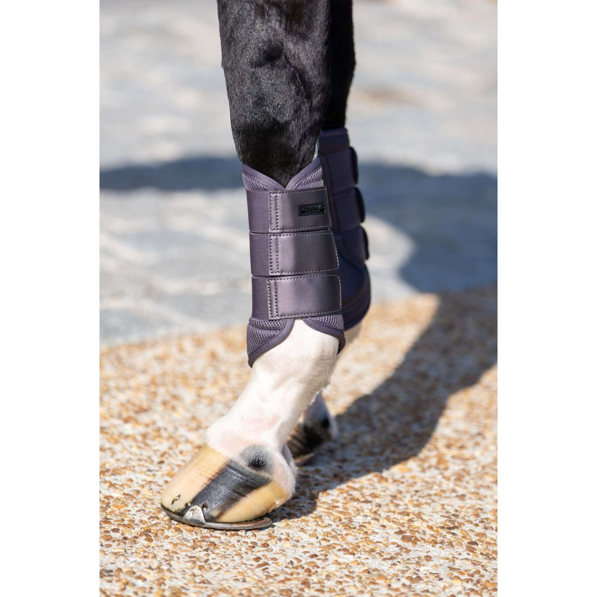 Equestrian Stockholm Protectores de piernas Classic Mesh Dark Violet