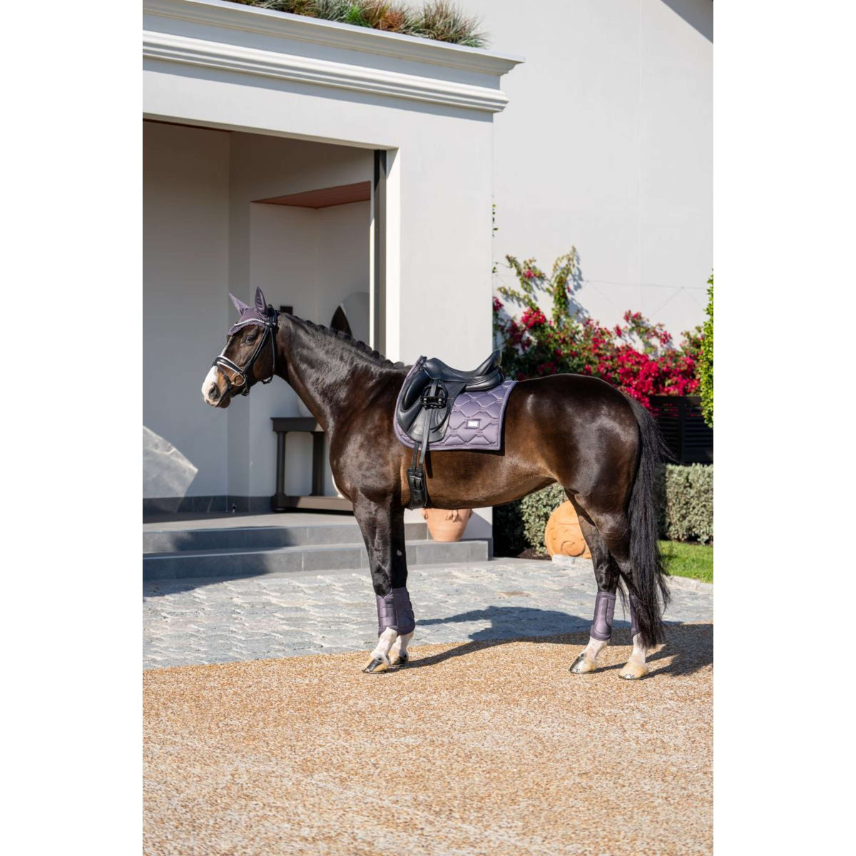Equestrian Stockholm Mantilla Doma clásica Dark Violet