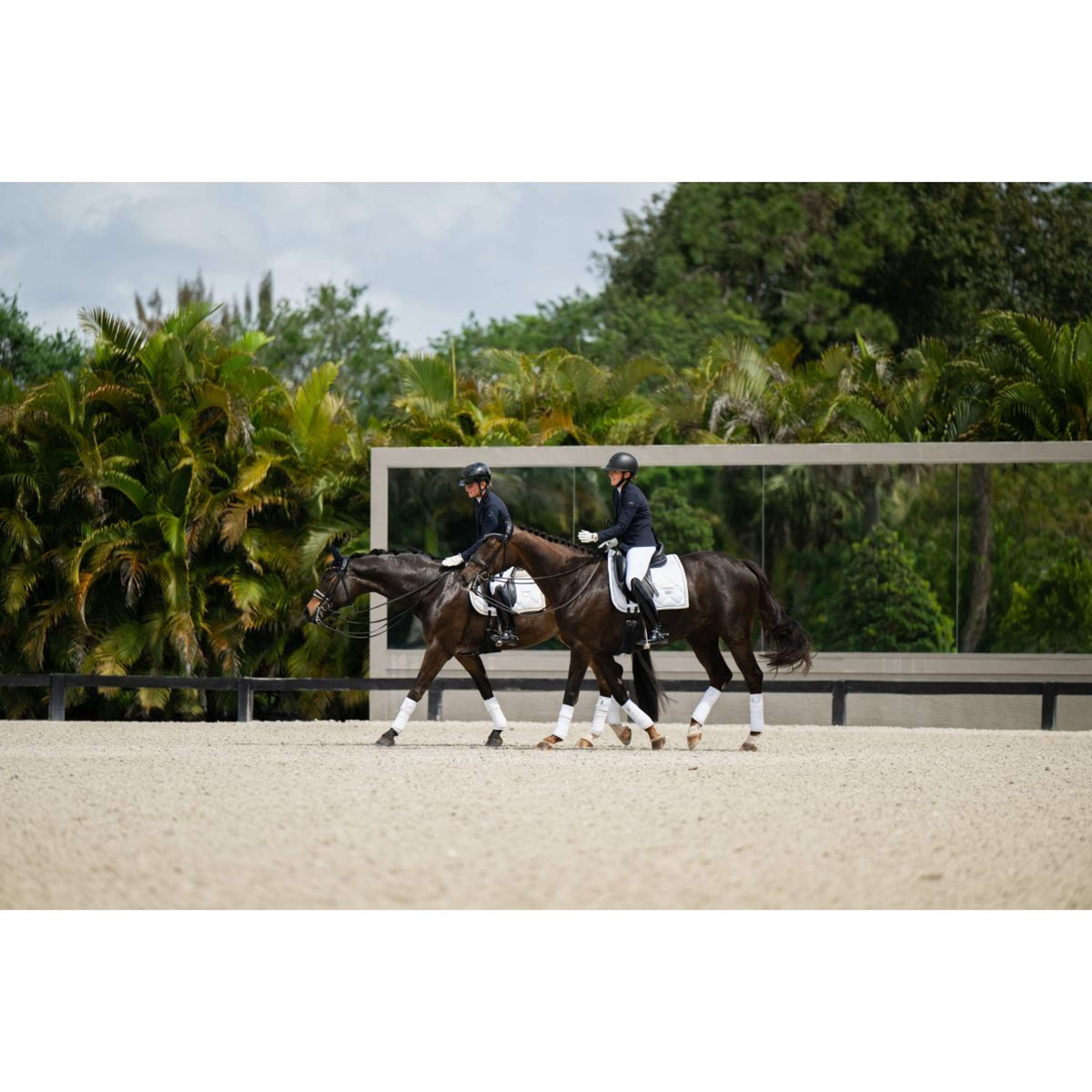 Equestrian Stockholm Vendajes White Silver