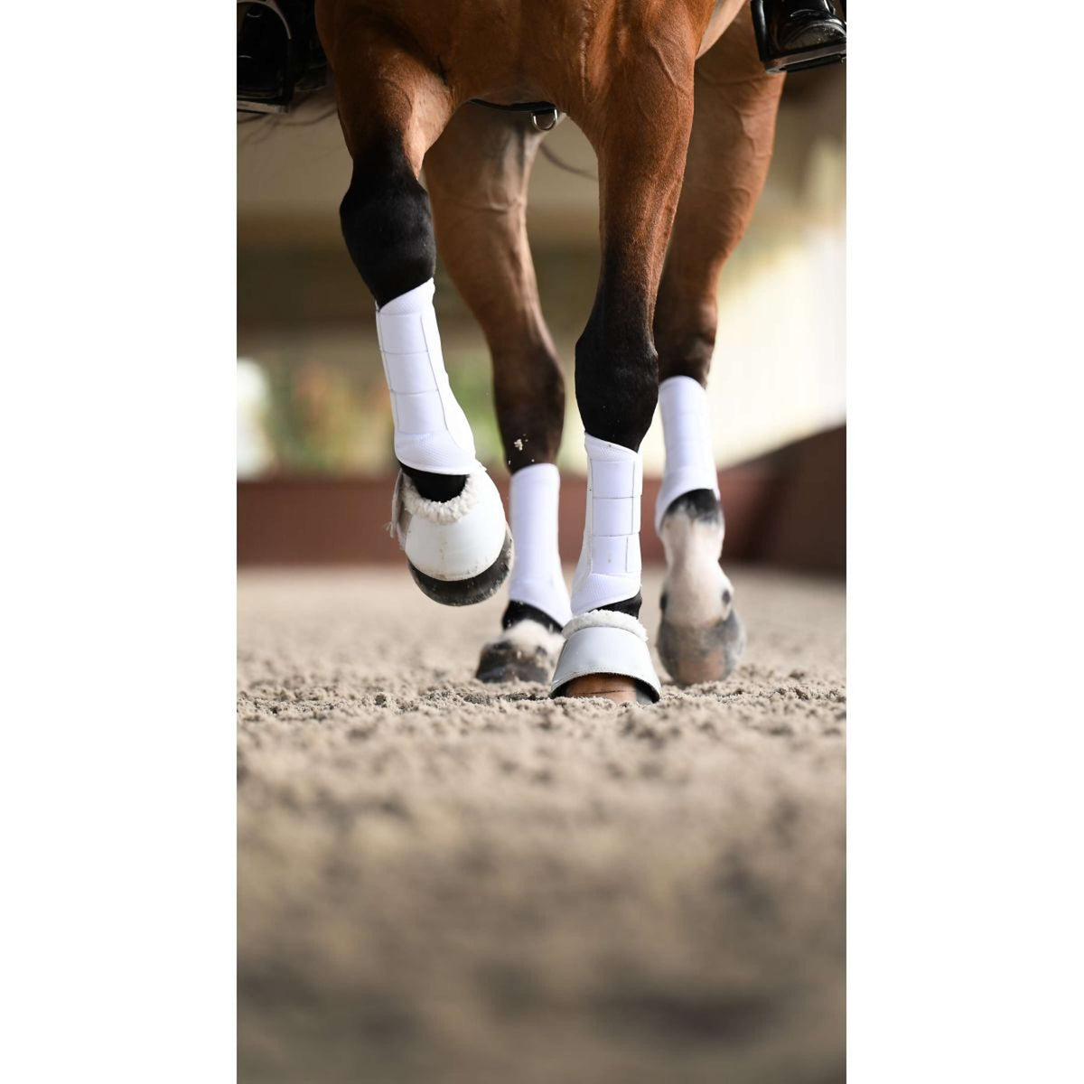 Equestrian Stockholm Protectores de piernas Classic Mesh White Silver