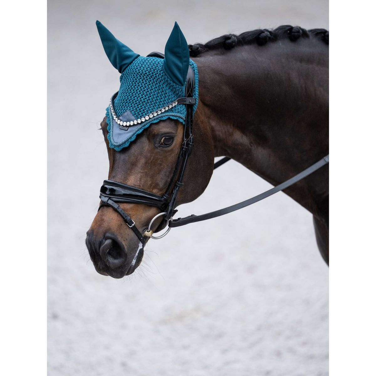 Equestrian Stockholm Bonete para Orejas Teal Blue