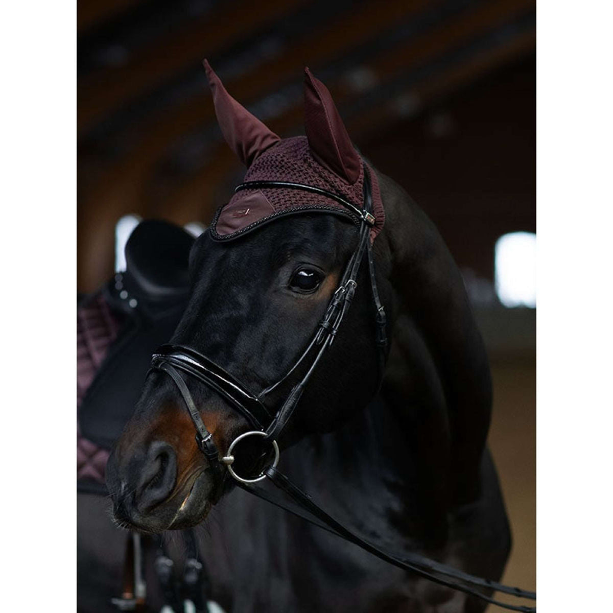 Equestrian Stockholm Bonete para Orejas Endless Glow
