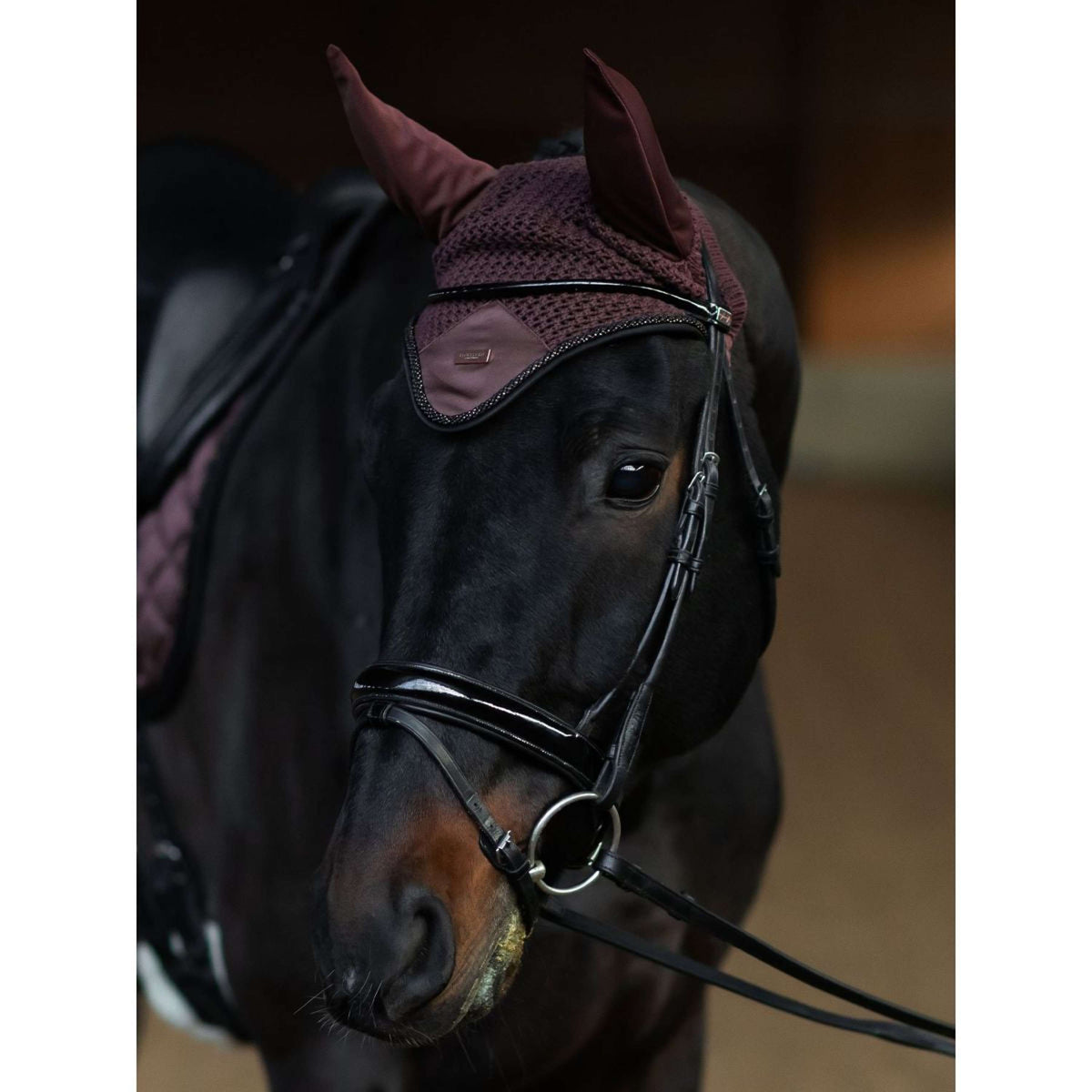 Equestrian Stockholm Bonete para Orejas Endless Glow